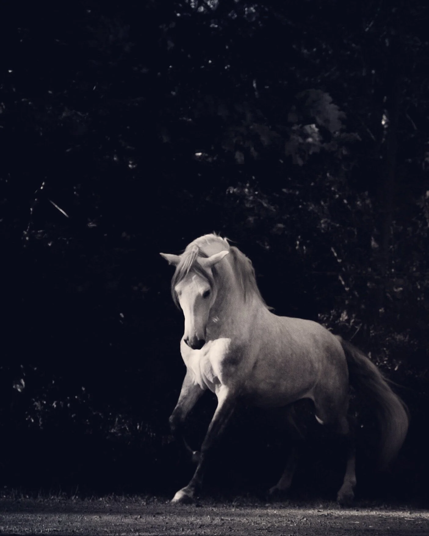 © Jessica Potenza 2025