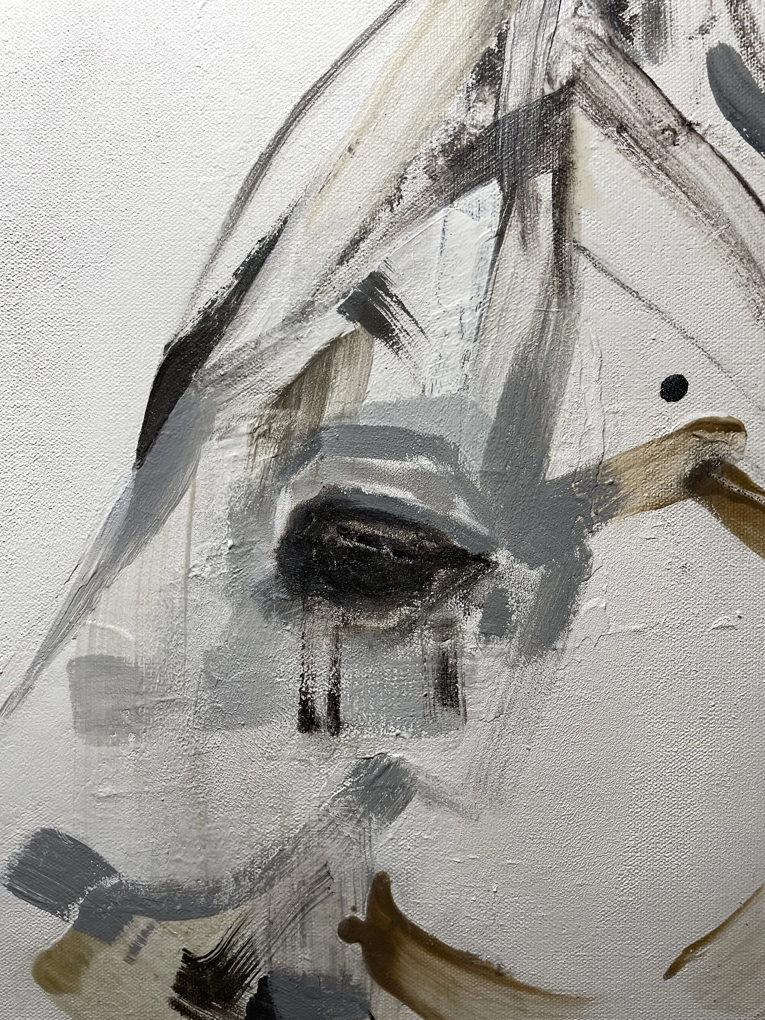 © Jessica Potenza 2025