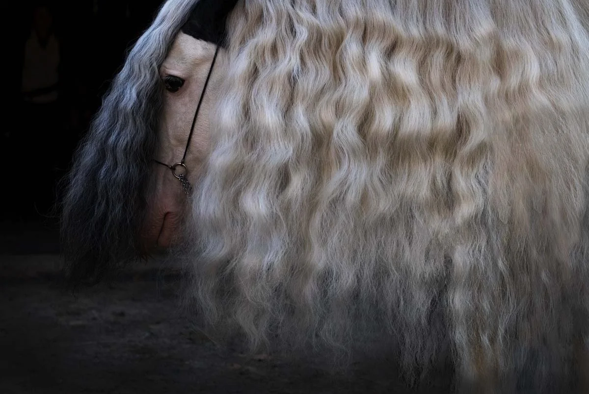 © Jessica Potenza 2025