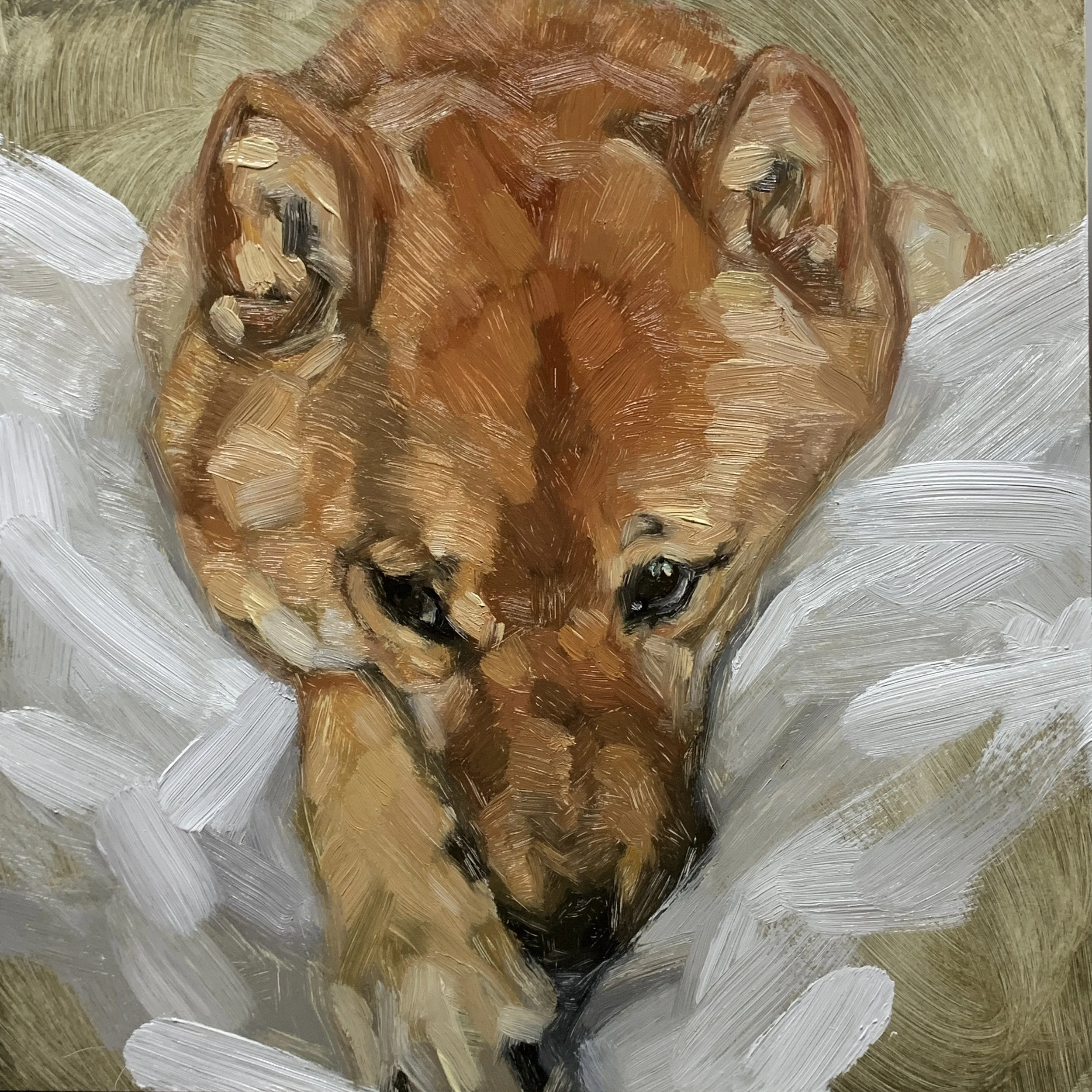 © Jessica Potenza 2025