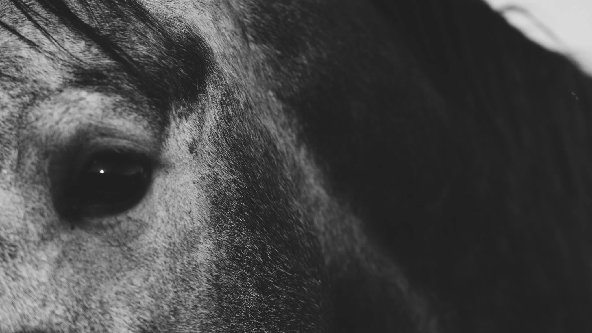 © Jessica Potenza 2025