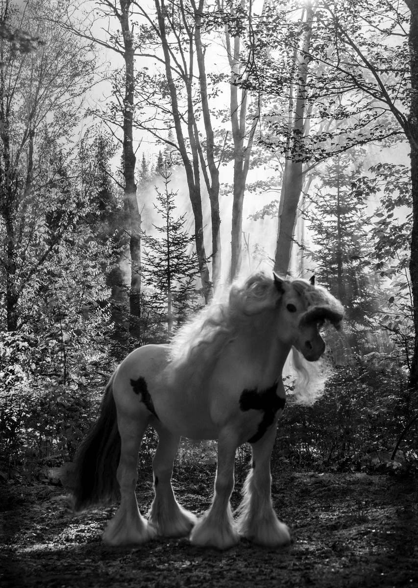 © Jessica Potenza 2025