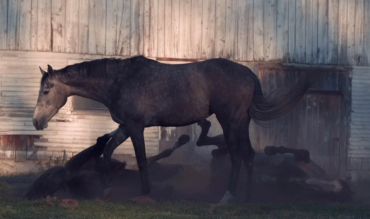 © Jessica Potenza 2025