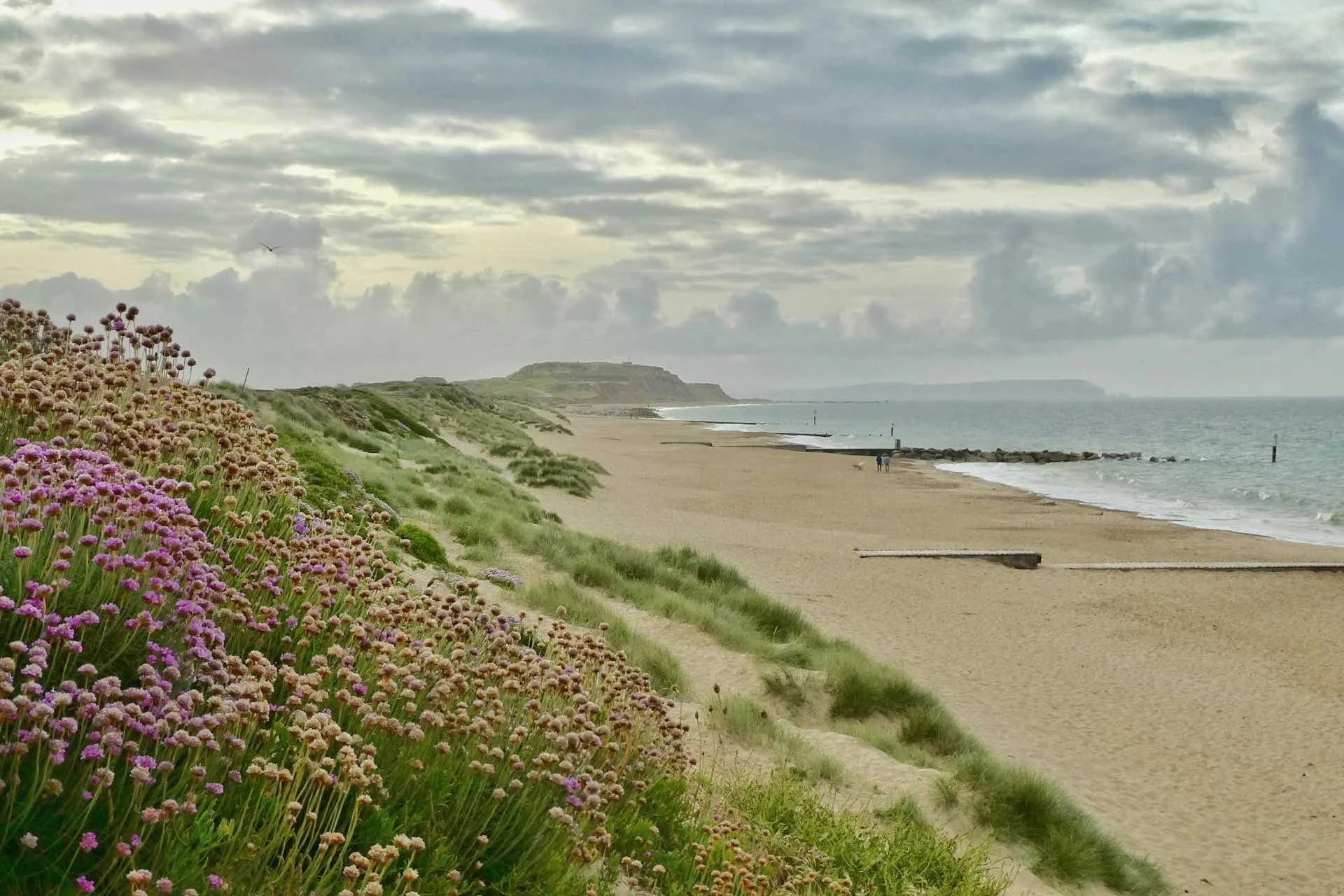 Looking east along Southbourne Beach  towards Hengistbury Head