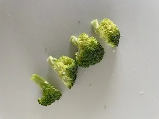 Separated small broccoli florets