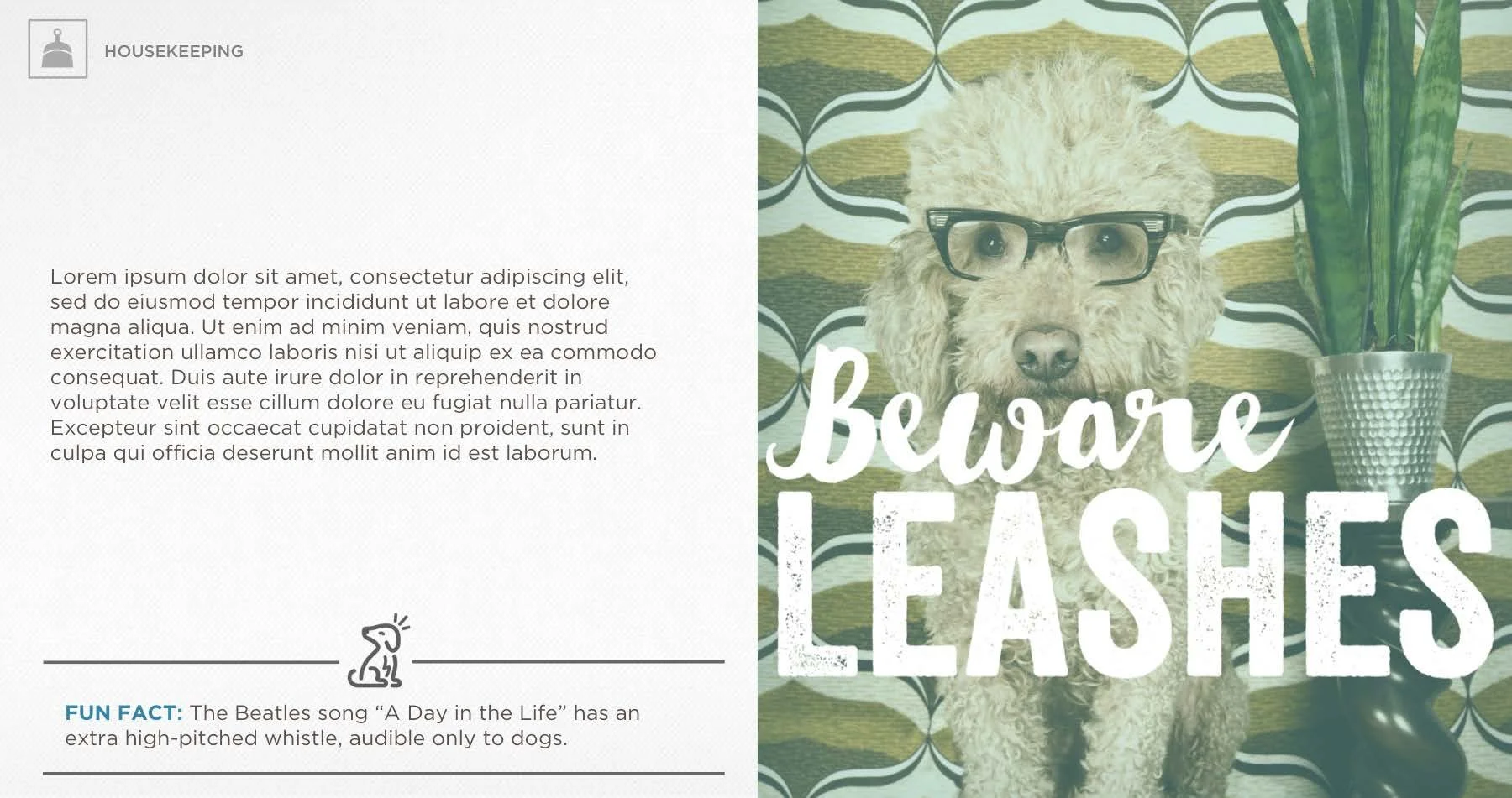 AB Design Examples_2023_Page_23_Image_0001.jpg