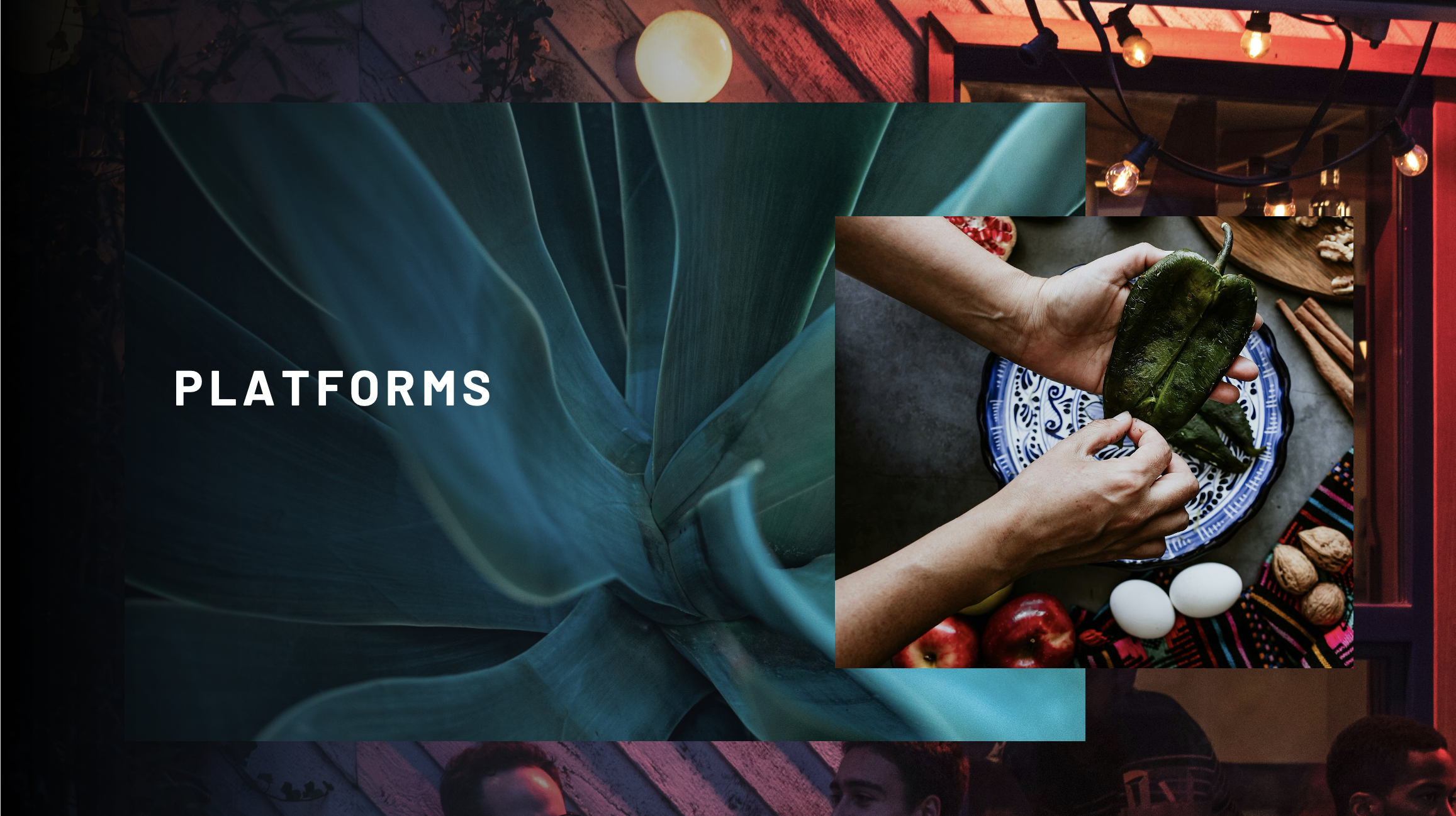 Screenshot 2026-01-31 at 3.15.38 PM.png