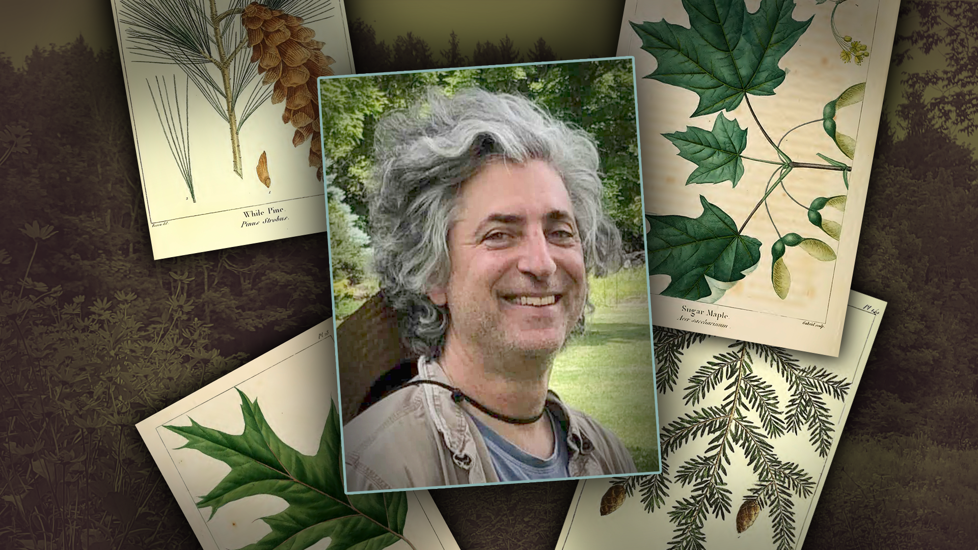 Native Tree Identification Walk - with Marc Wolf - WILD SATURDAYS