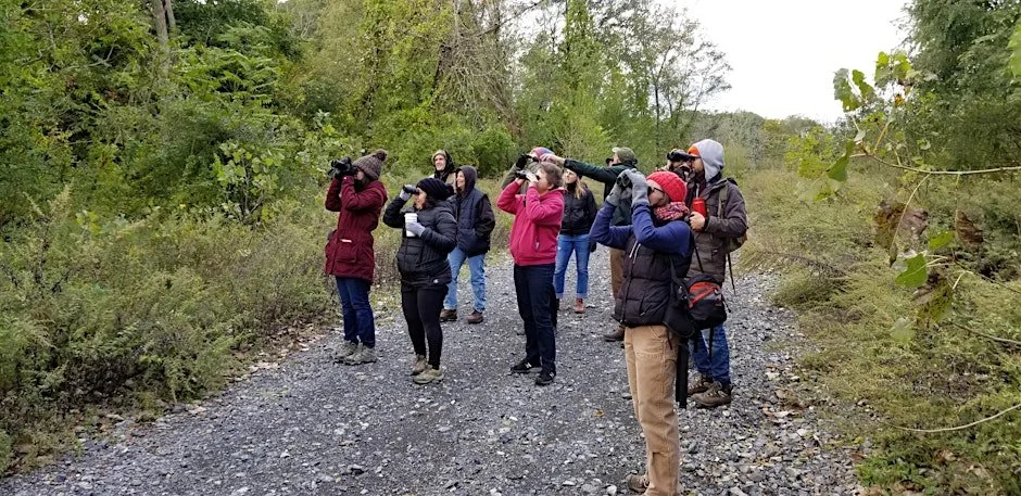 Bird Walk - Fall Migrants
