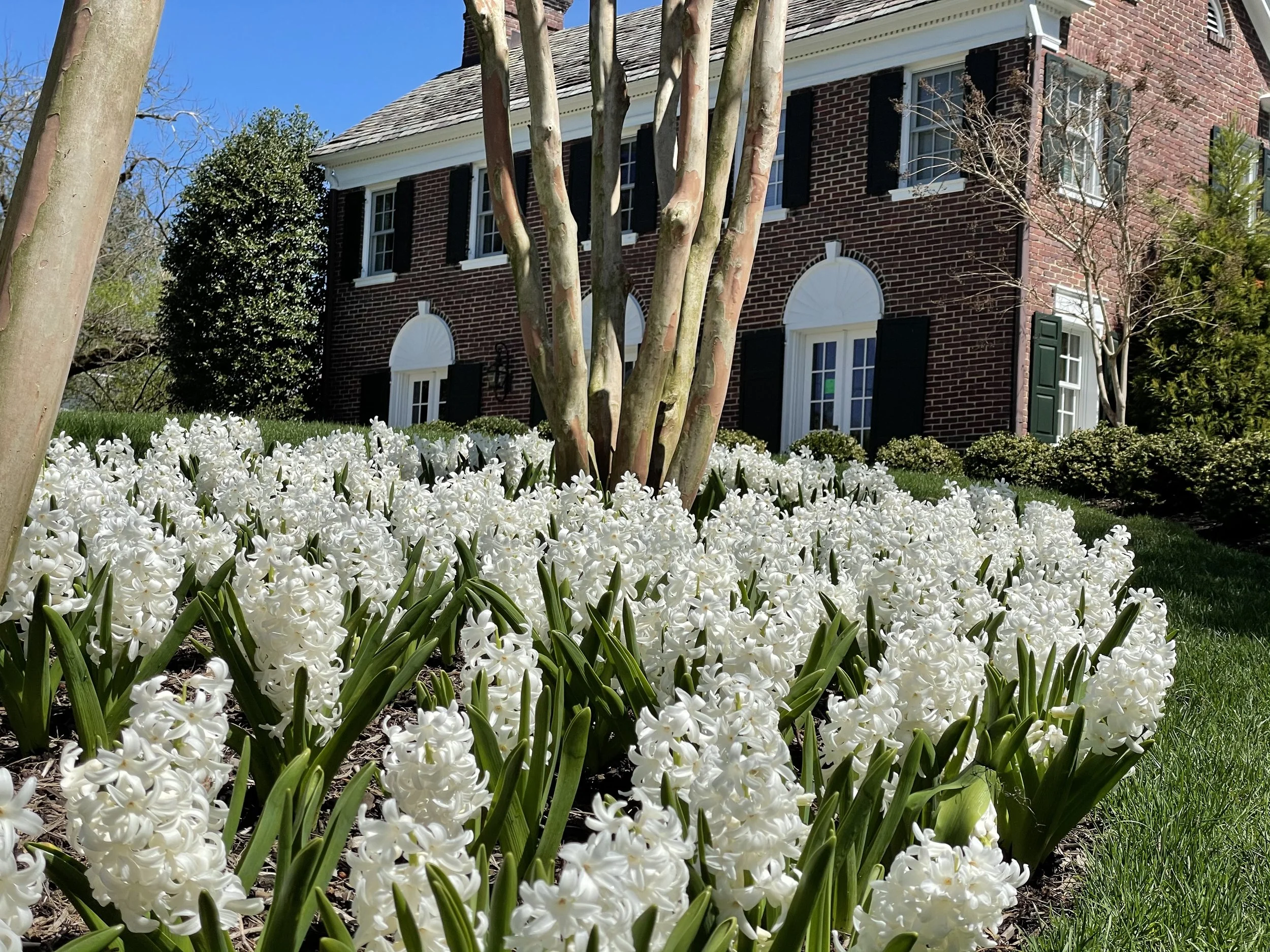 2021-04-13 12.26.09-1.jpg