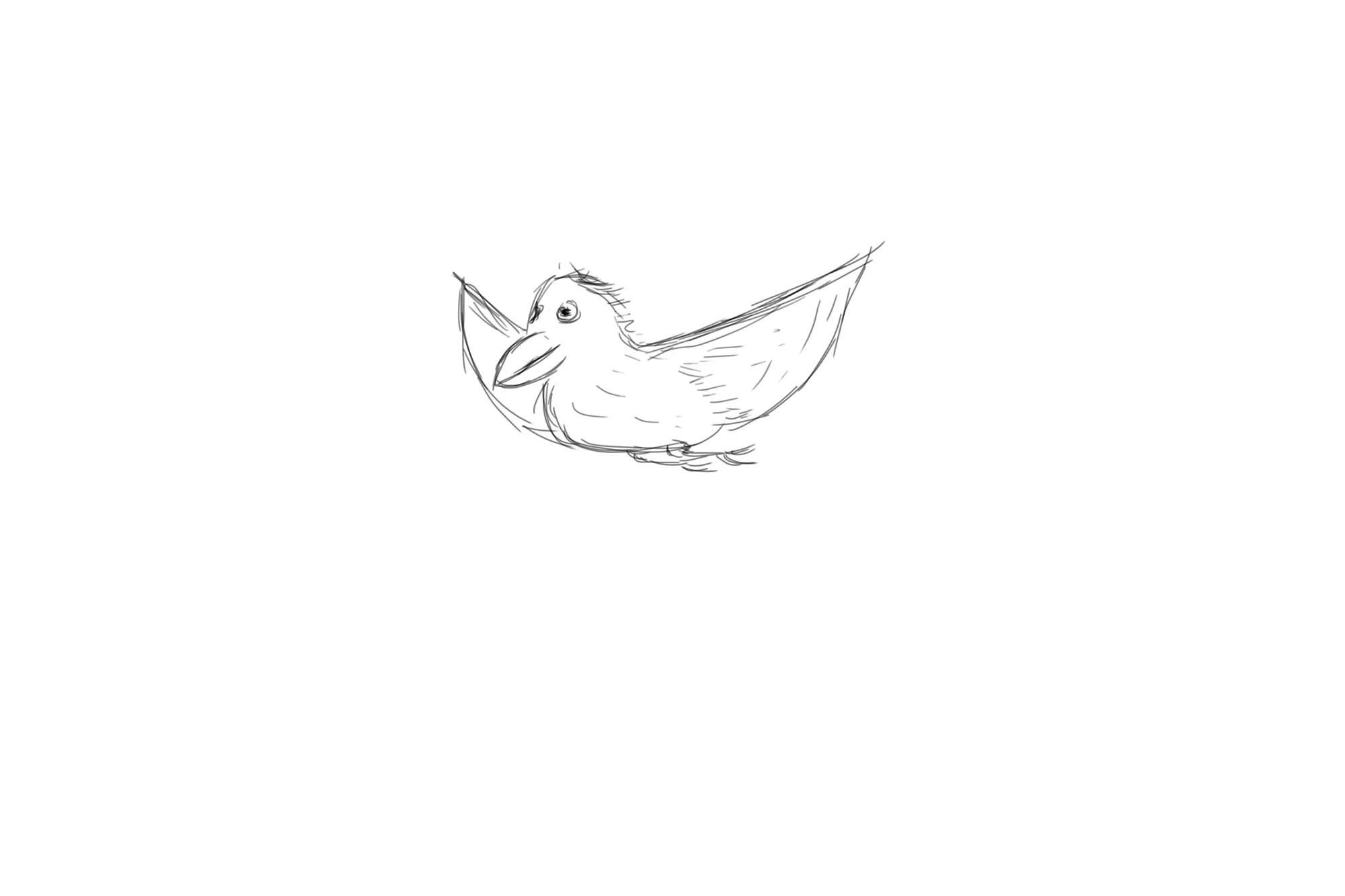 sketches1 (4).jpg