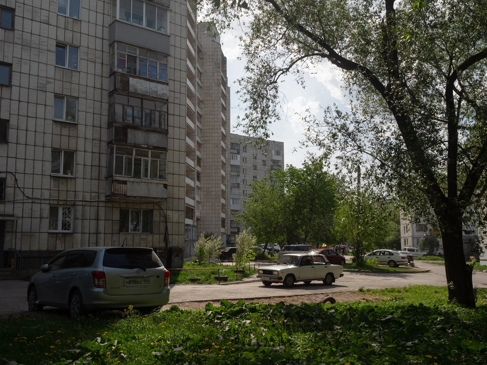perm ws (44).jpg