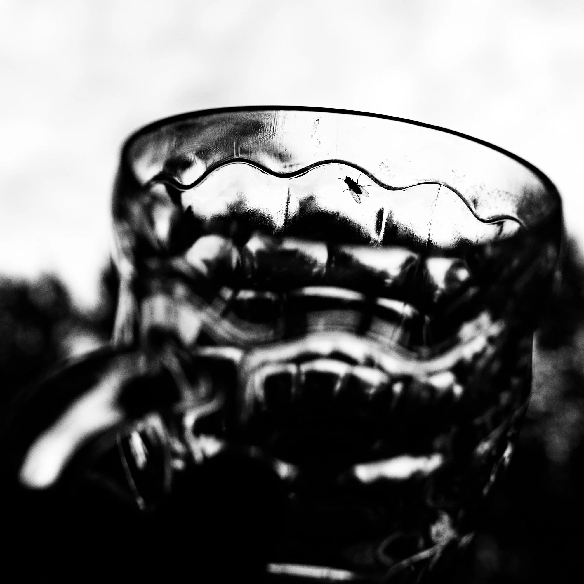 dwwsseason1 (32).jpg