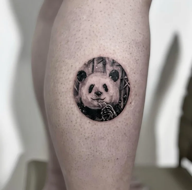 熊猫.png