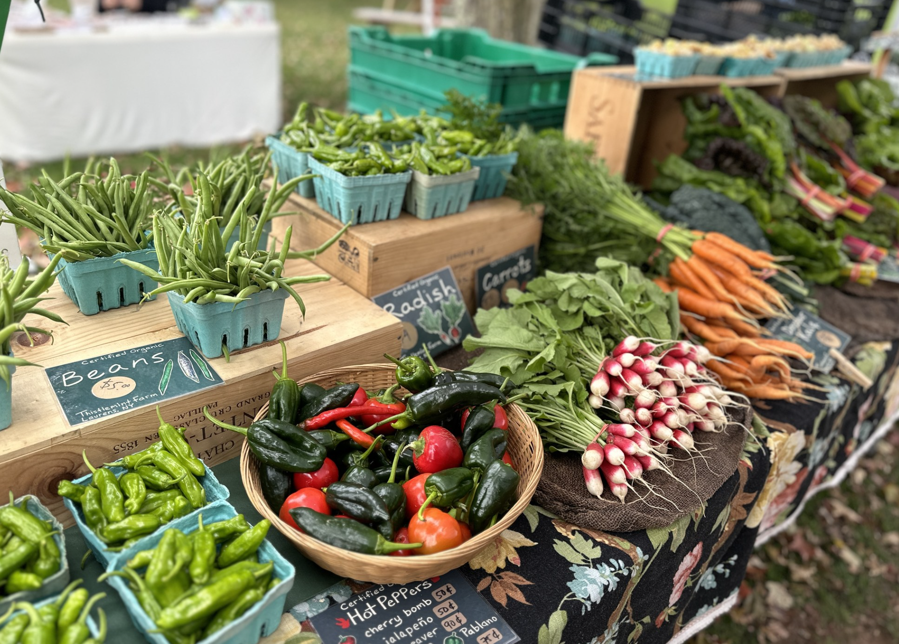 Delhi Farmers Market