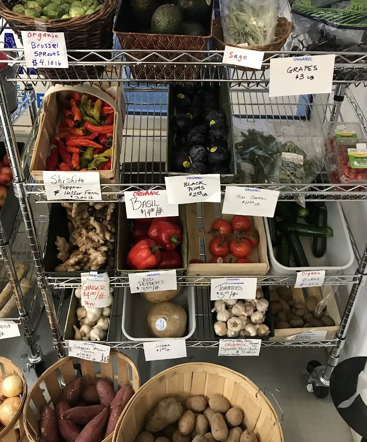 Screenshot 2026-01-19 at 10.13.13 PM.png