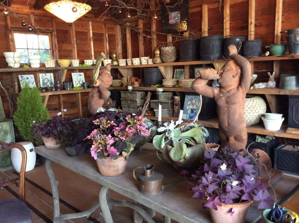 botanical treasures.jpg