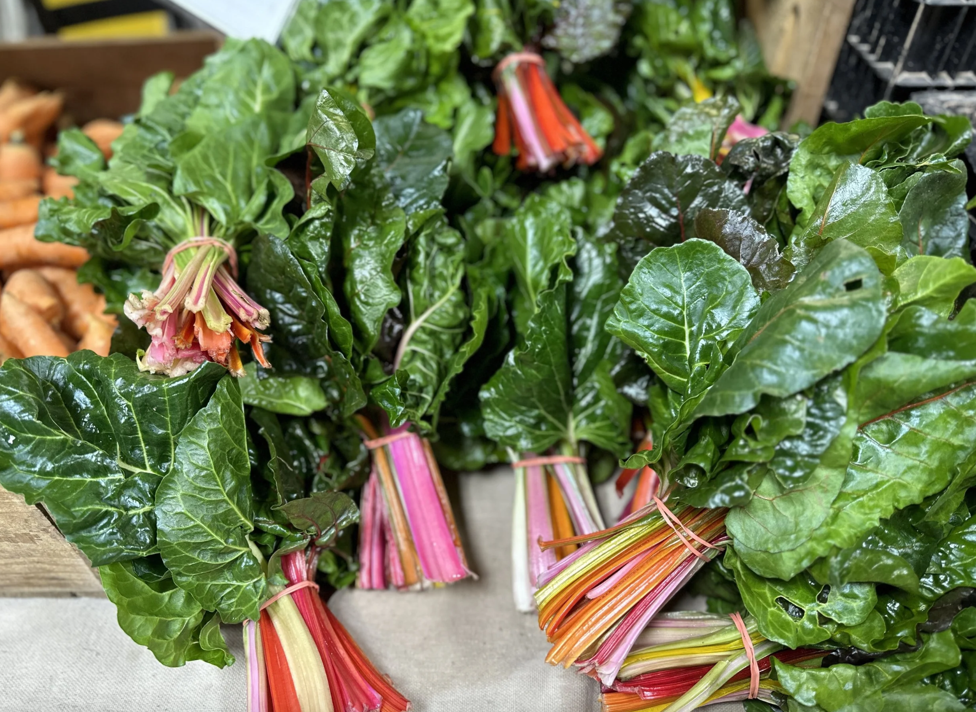 Screenshot 2026-01-19 at 8.36.31 PM.png