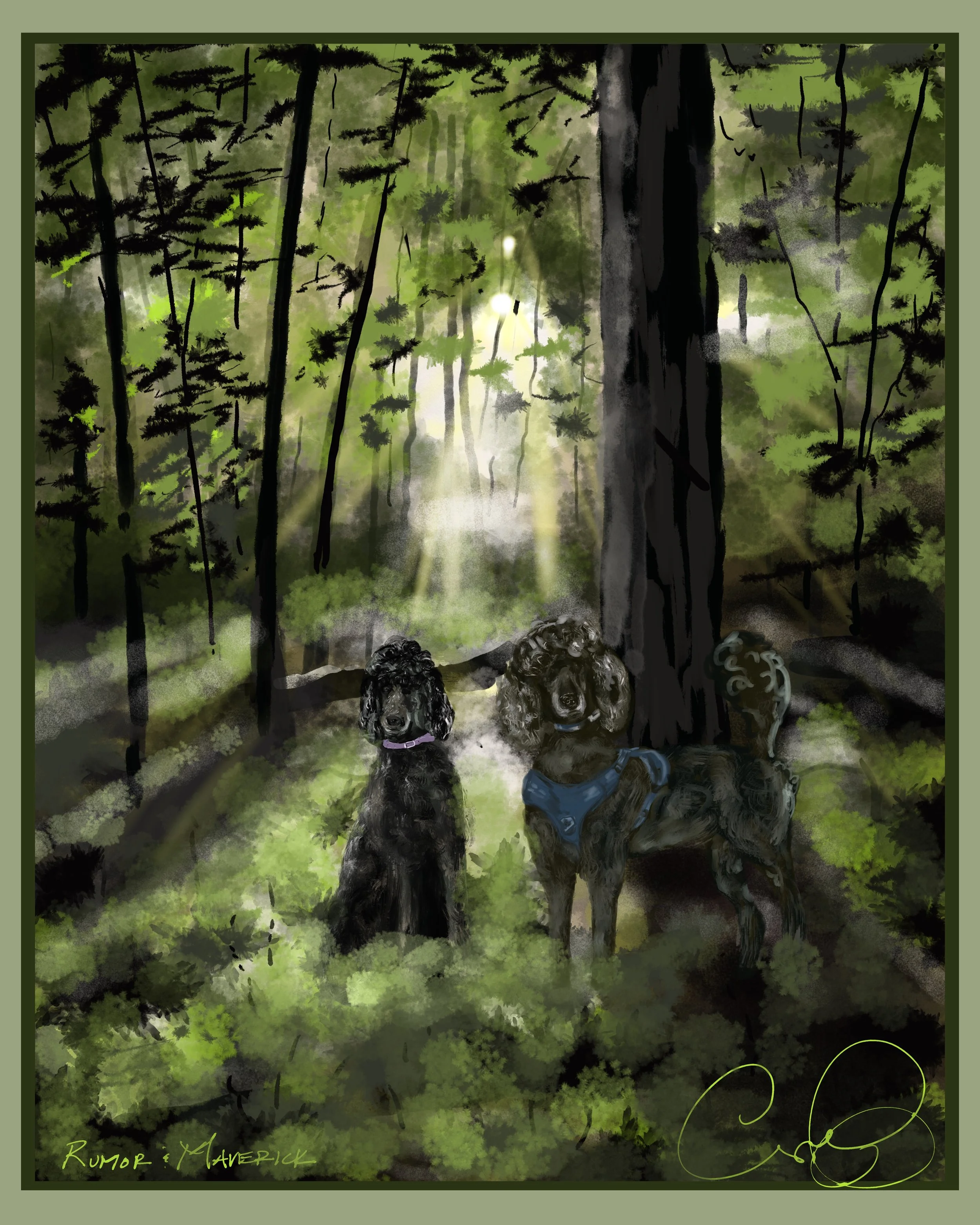 Illustration of a lush green forest with sunlight filtering through trees. At the bottom, there are three dogs with curly fur, sitting on the forest floor. The scene has a mysterious and serene atmosphere. Text at the bottom left reads 'Rumor & Maver
