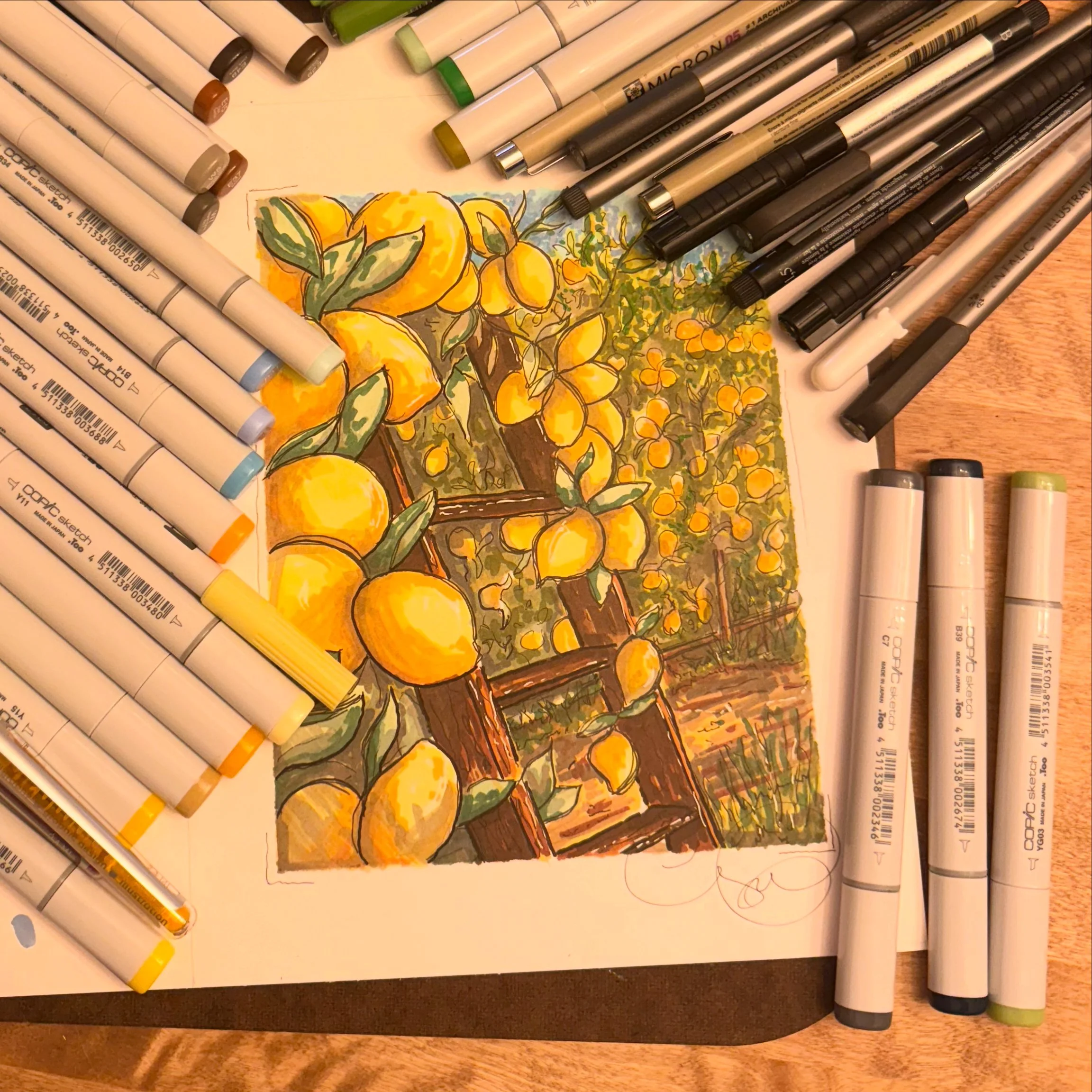 Lemon Grove -
8x10 Marker and Ink
Bristol Paper