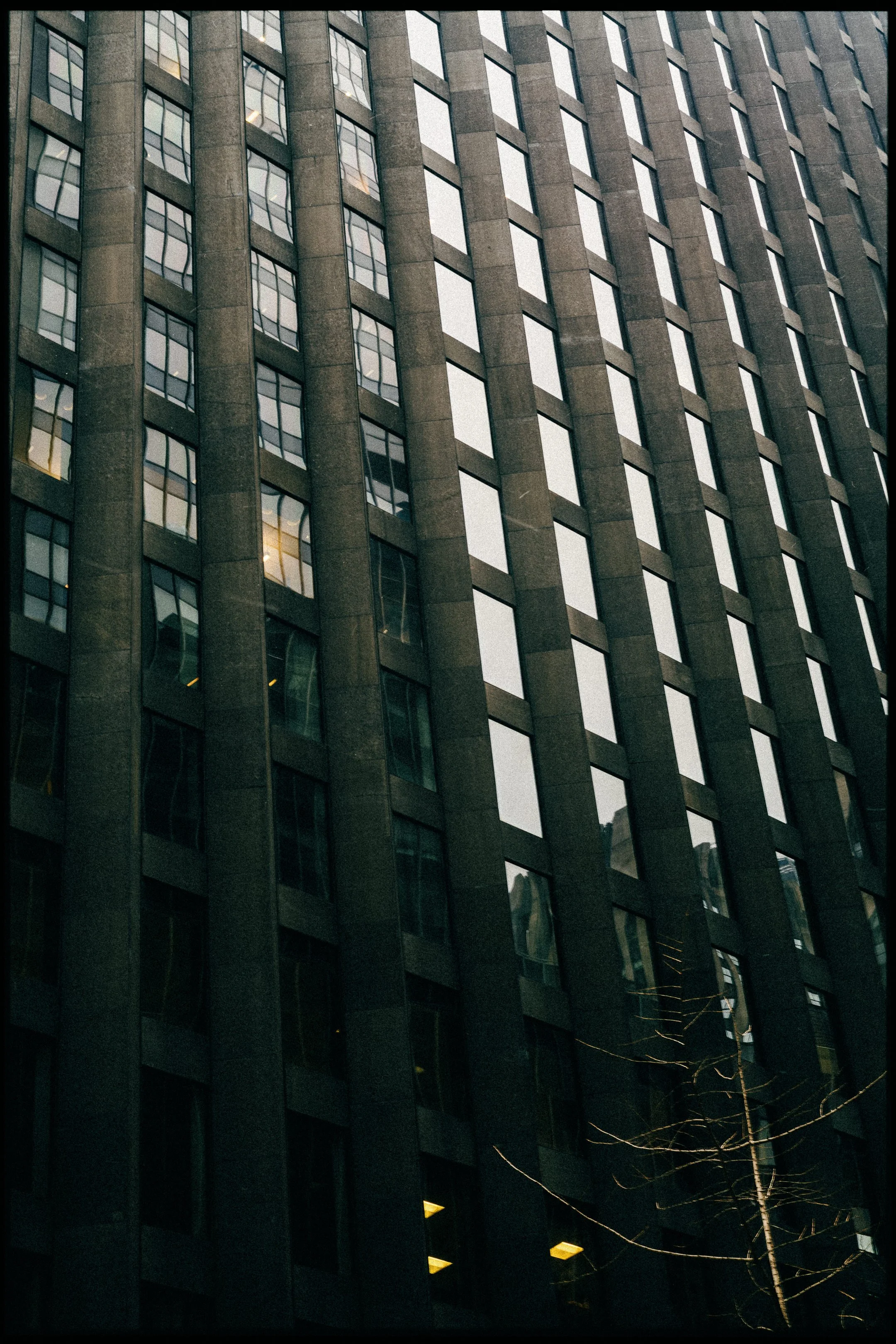 L1001942.jpg