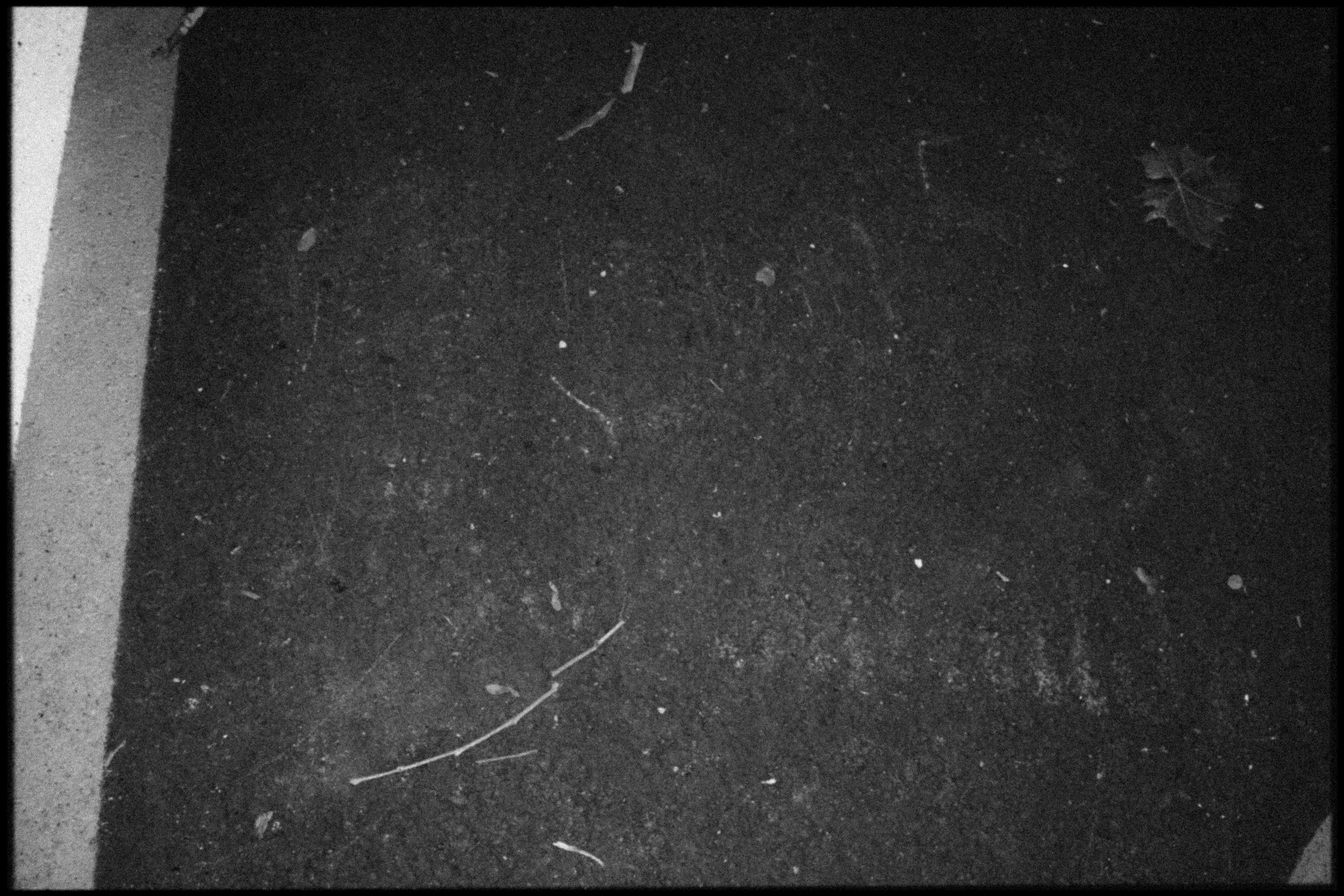 M1006493.jpg
