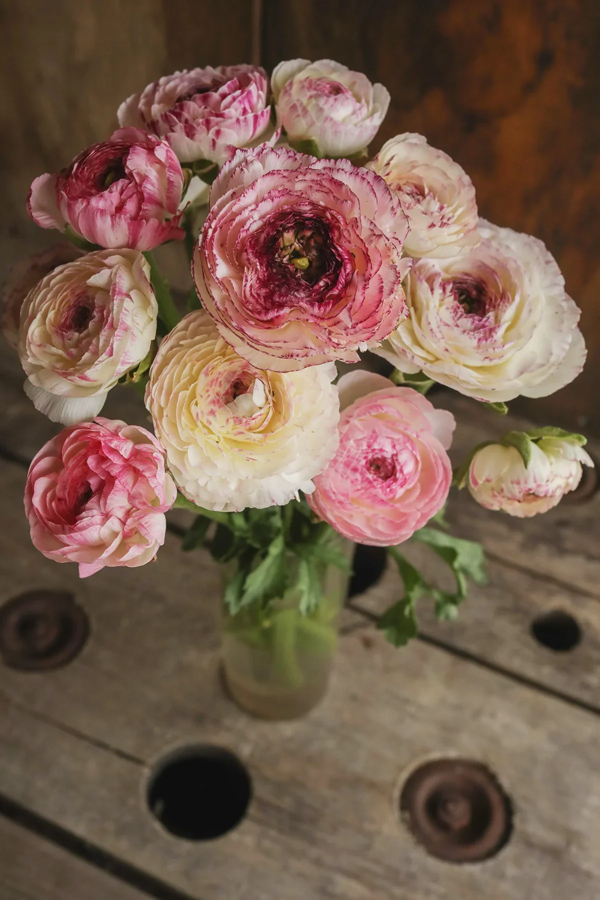 0R8A7877_1200x.webp (Copy)