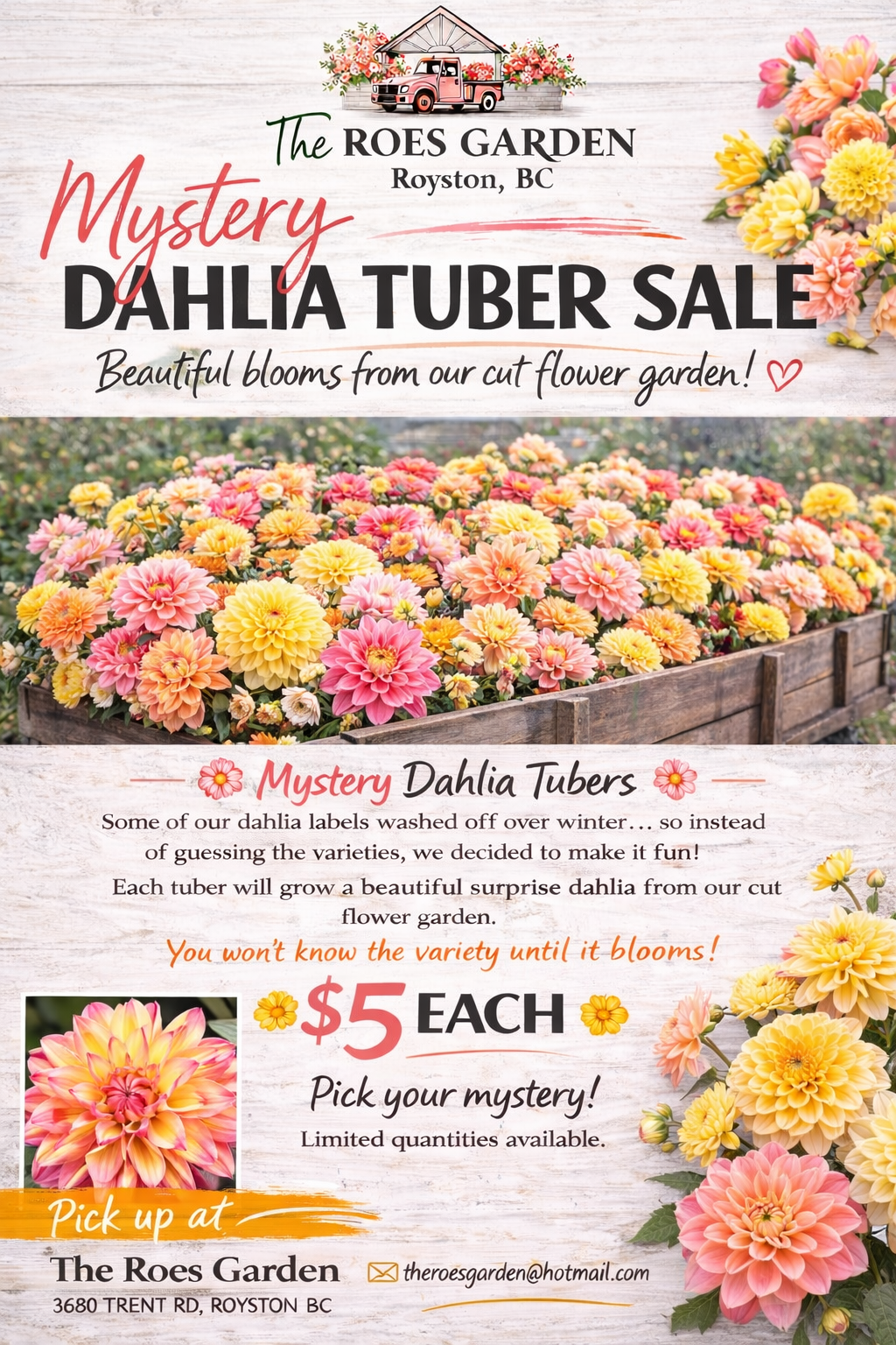 f9ed3f8e-2de4-4df2-bc8a-64b13168b431 (1).png