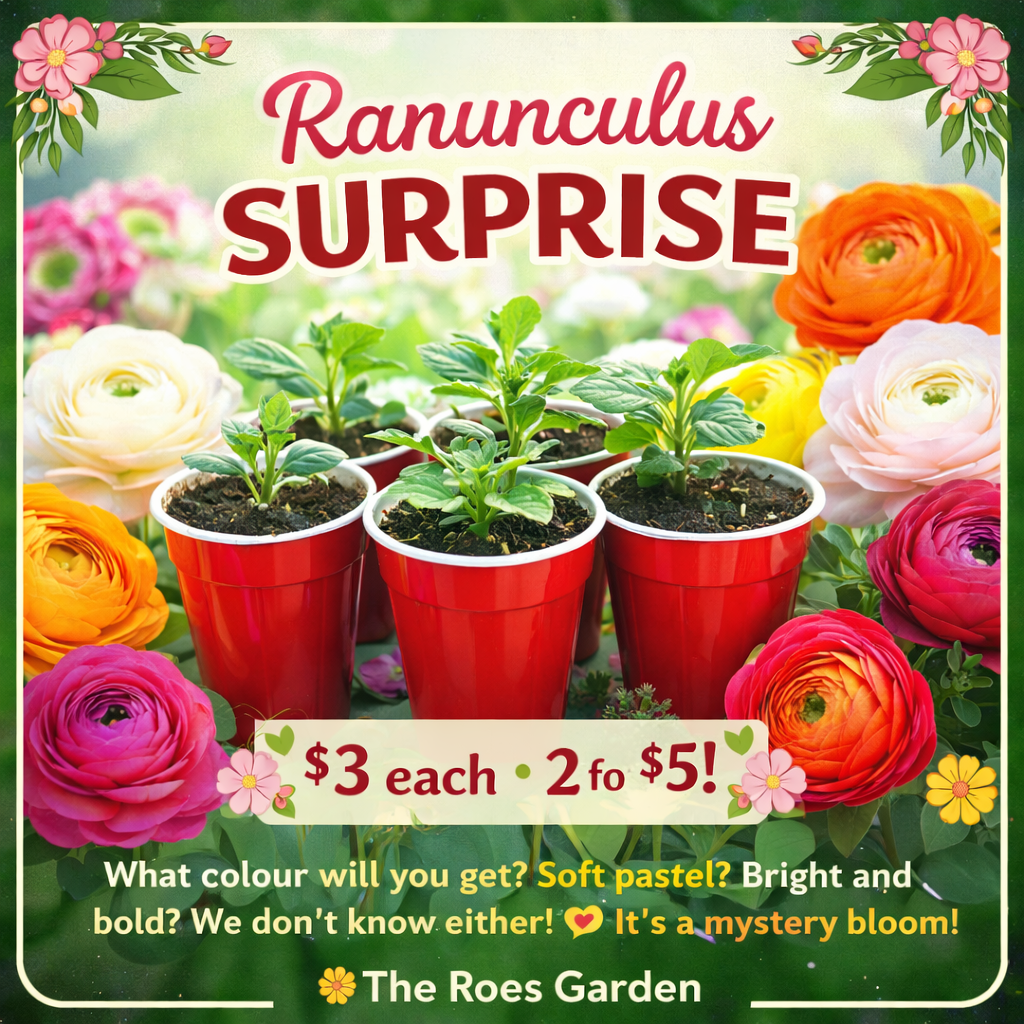 44856ff6-0f7e-4027-8704-a74be40b6ab6 (1).png