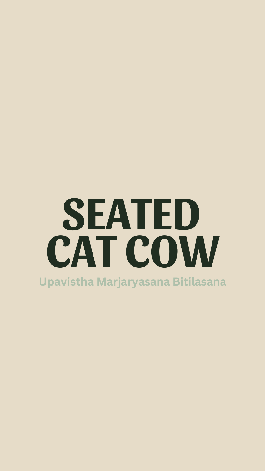 Seated Cat Cow Cover (Plain).png