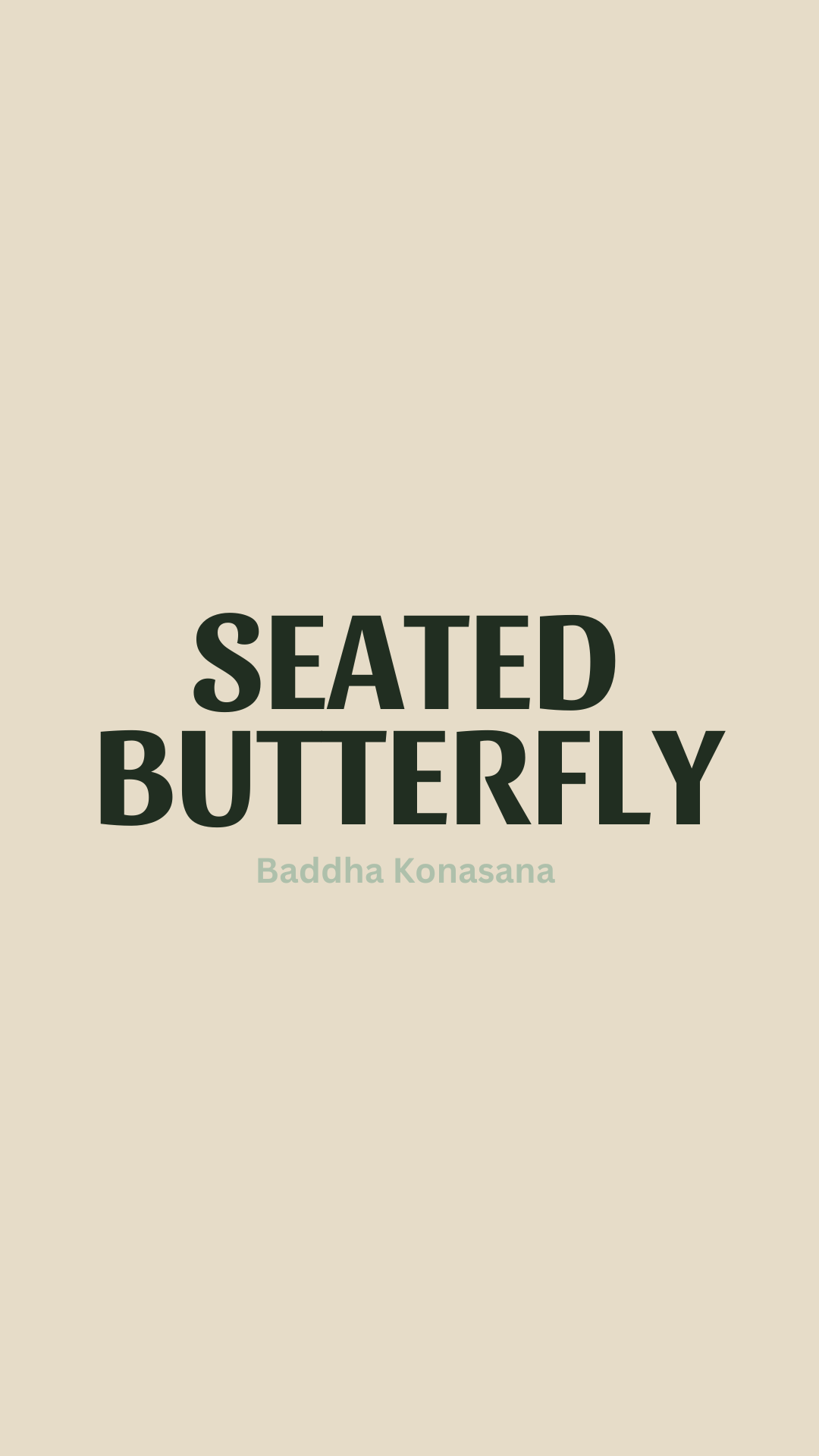 Seated Butterfly Cover.png