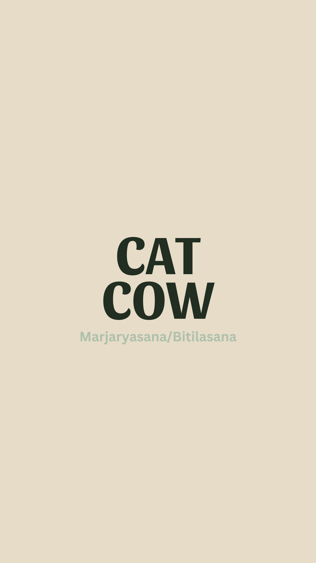 Cat Cow Cover.png