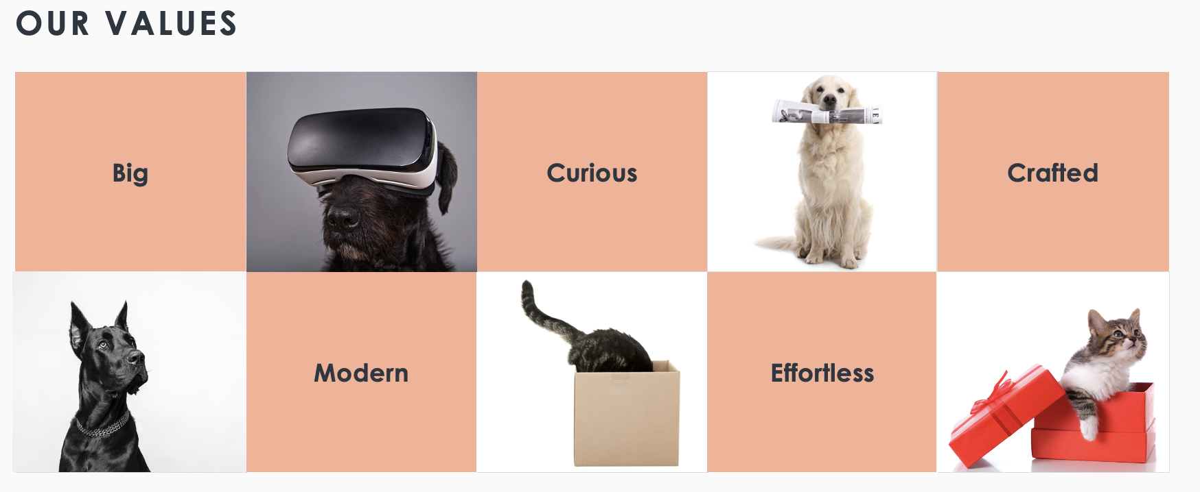 Screenshot 2025-01-28 at 3.49.27 PM.png