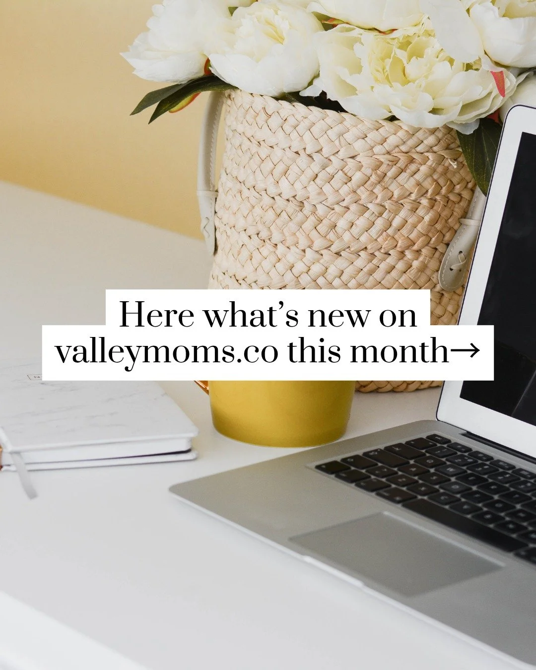 valleymoms.co is your new favorite corner of the internet. We want it to be your one-stop shop for everything you need to live your best mom life in the Valley! 

There's so much planned for our website &mdash; more guides, blogs, and resources you n