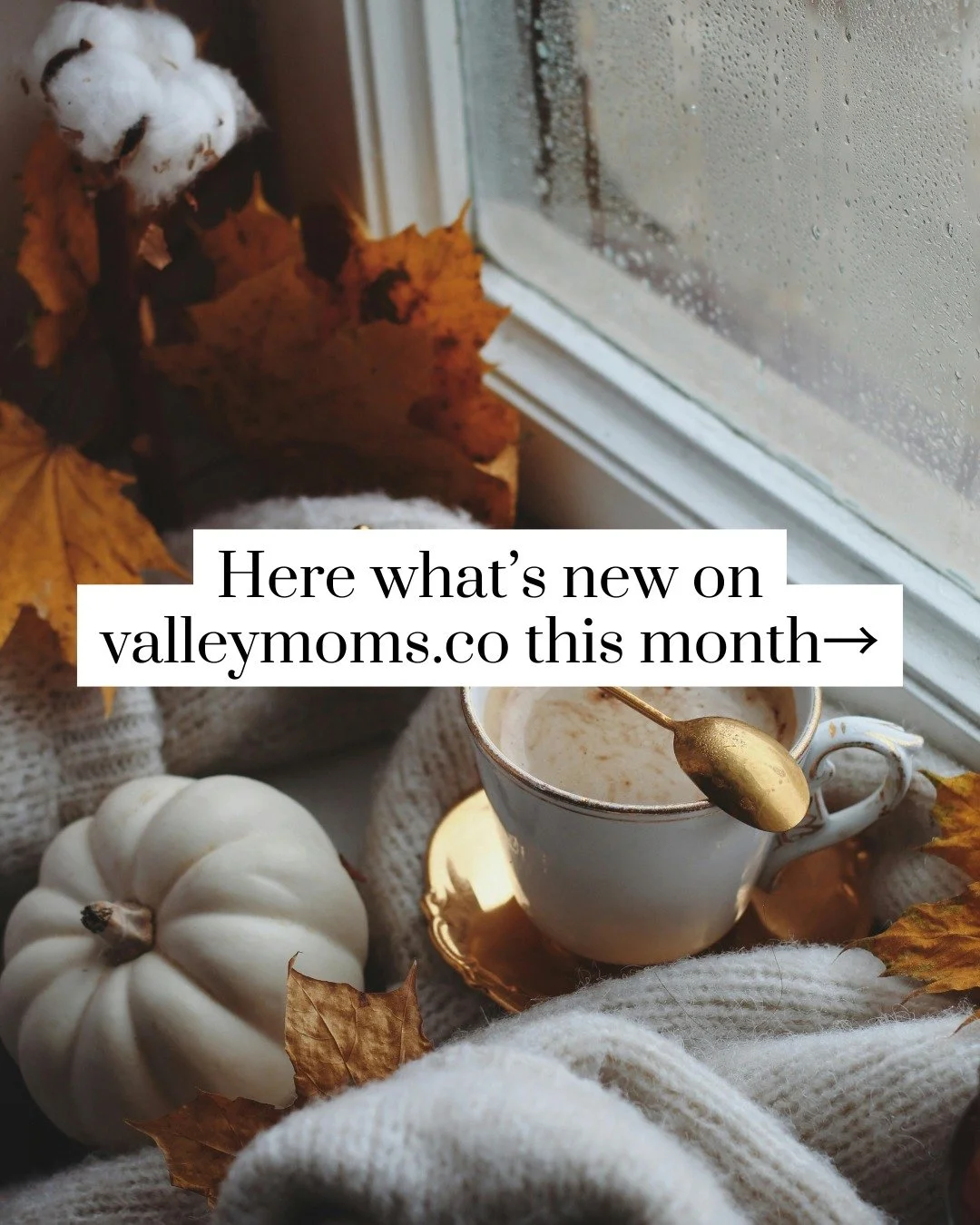✨valleymoms.co is your new favorite corner of the internet. We want it to be your one-stop shop for everything you need to live your best mom life in the Valley!✨

There's so much planned for our website &mdash; more guides, blogs, and resources you 