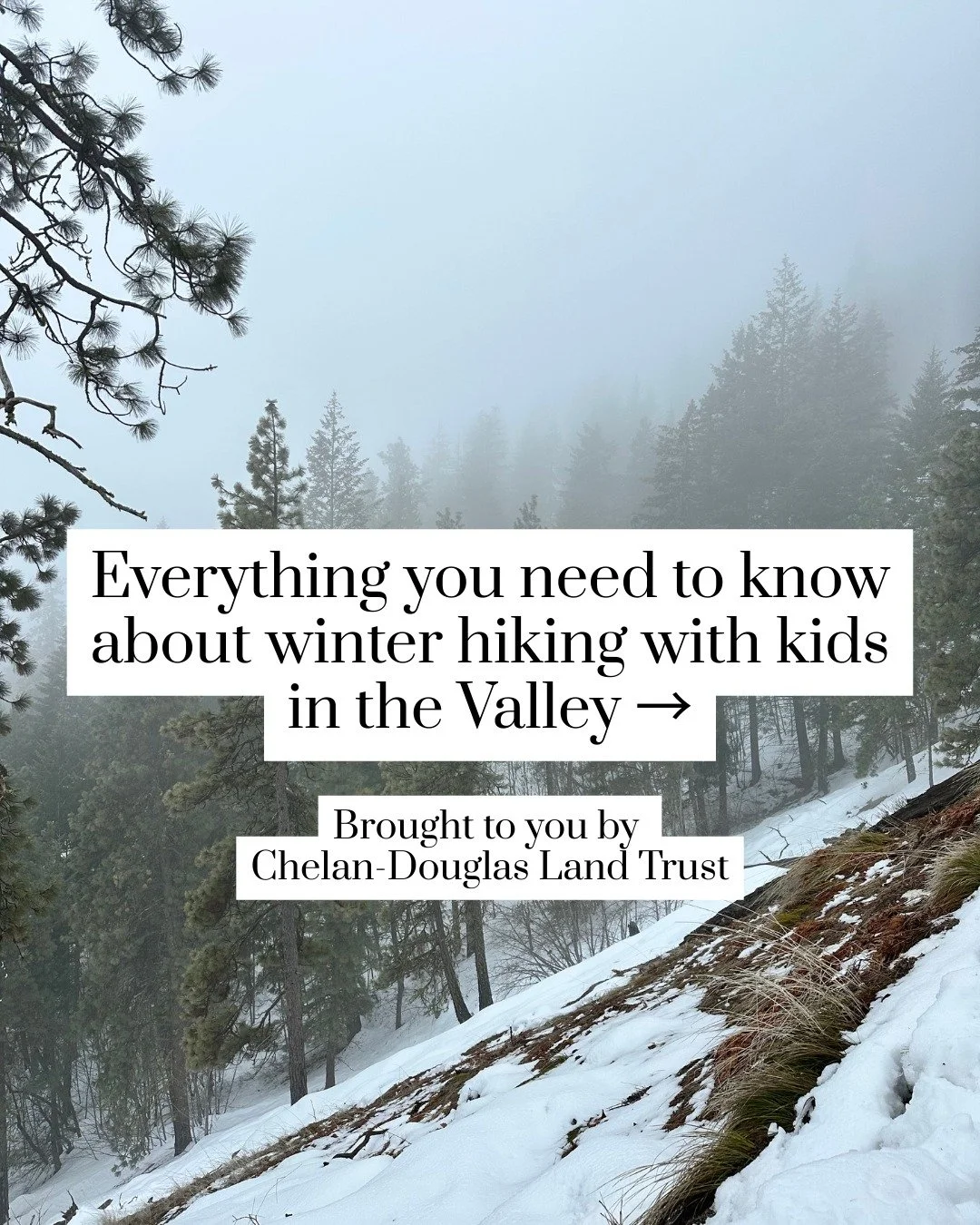 The @cdlandtrust helped us put together this awesome guide of all things winter hiking in the Valley! 

Save this so you know which trails are closed and which are best for kids in the chilly season. There are also some super helpful safety tips!

Th