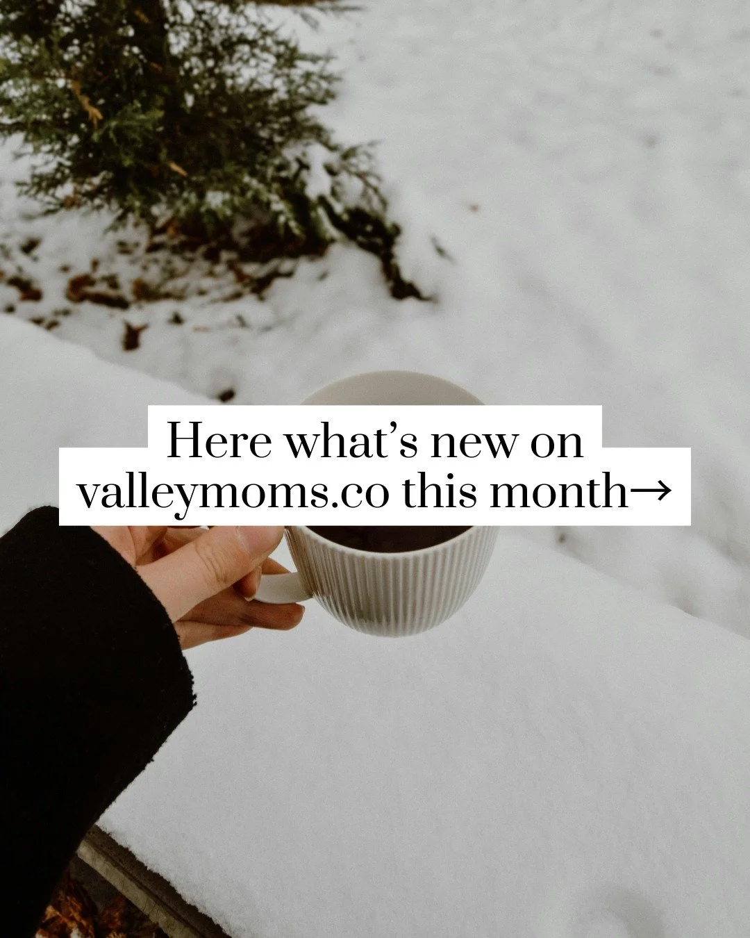 ✨valleymoms.co is your new favorite corner of the internet. We want it to be your one-stop shop for everything you need to live your best mom life in the Valley!✨

There's so much planned for our website &mdash; more guides, blogs, and resources you 