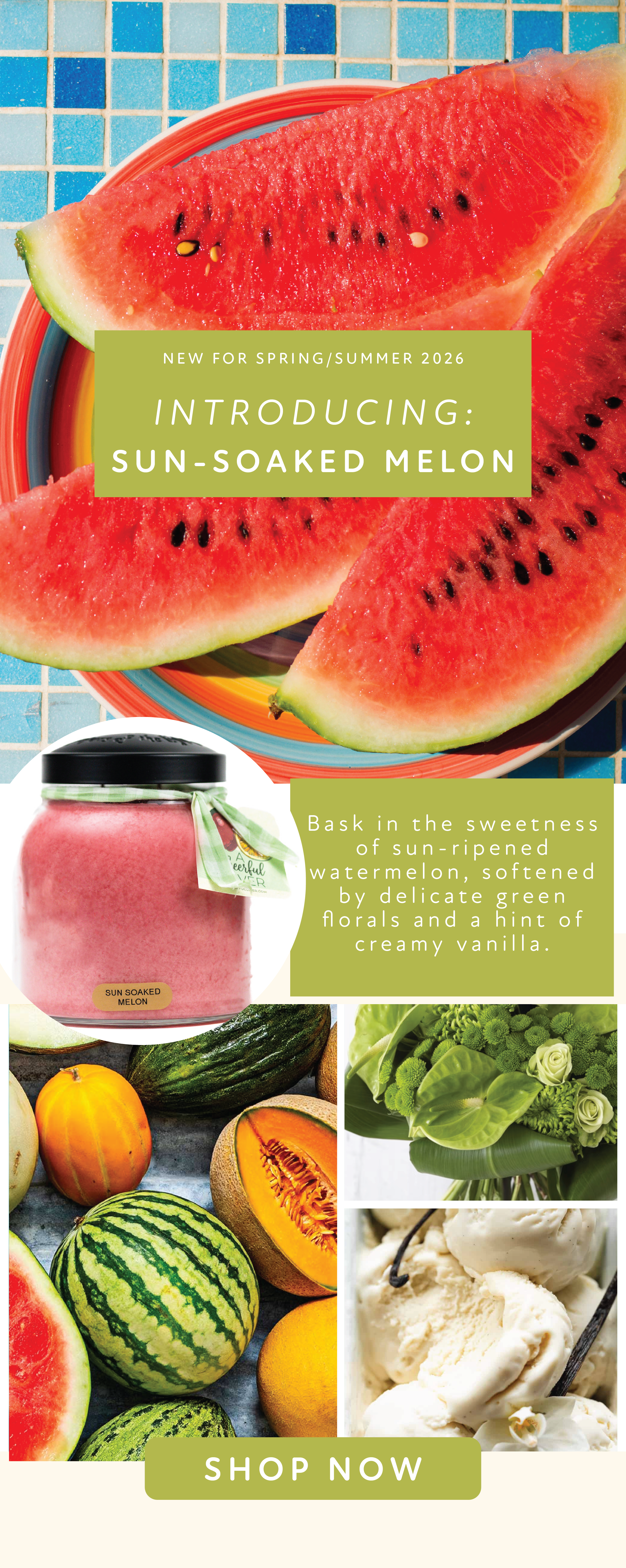 Sun Soaked Melon.png