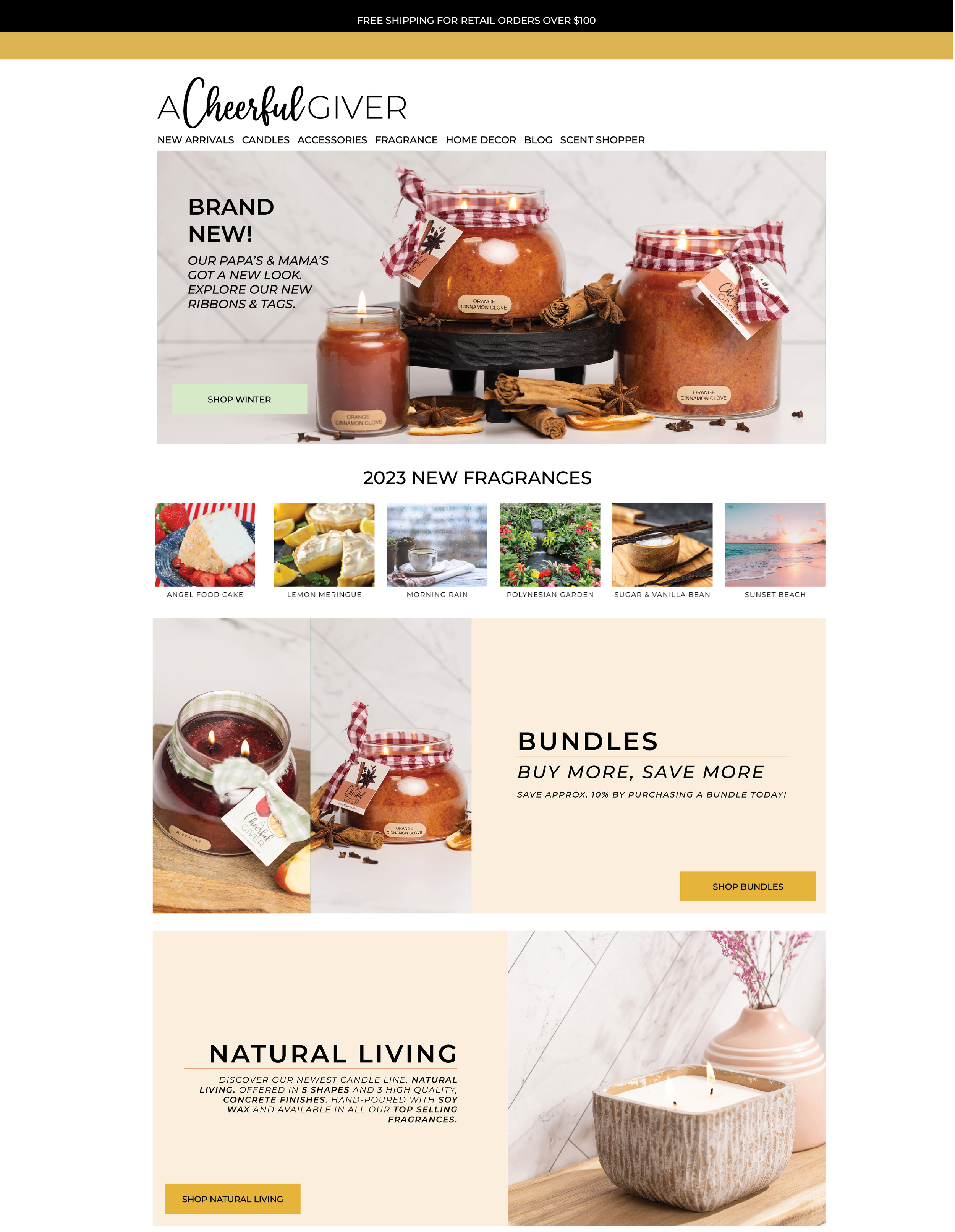 WEBSITE MOCKUP.png