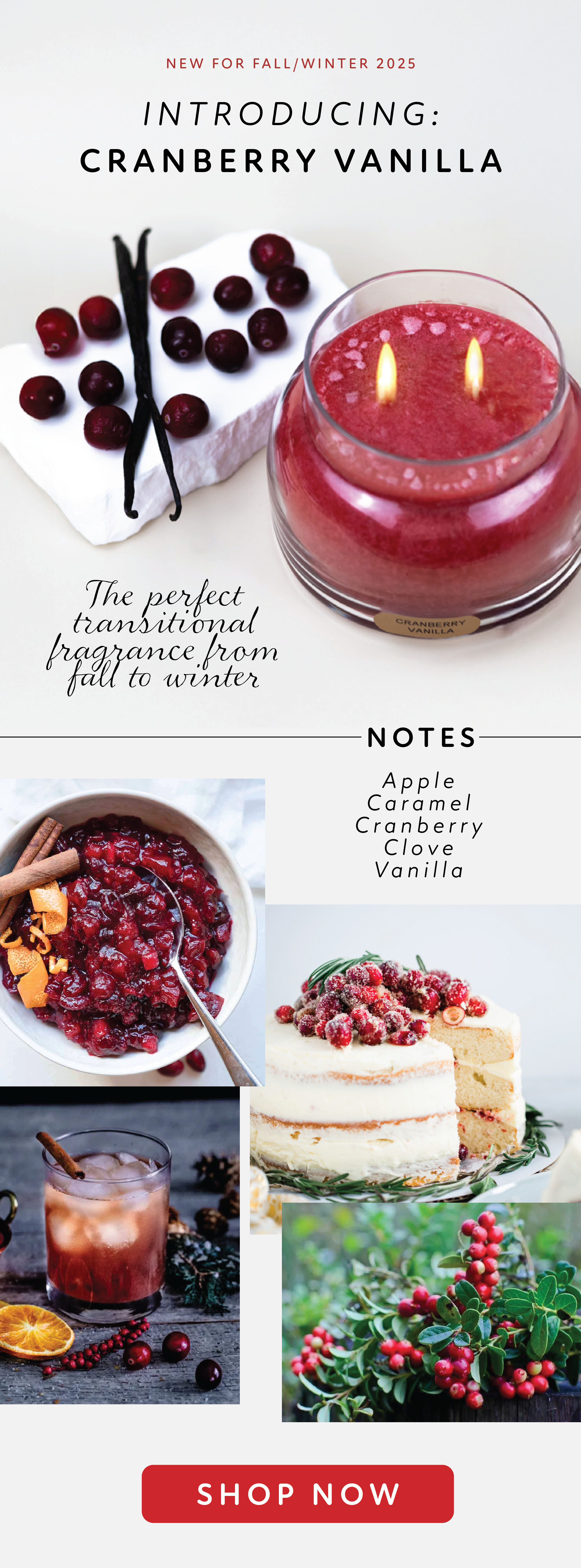 CRANBERRY VANILLA.png