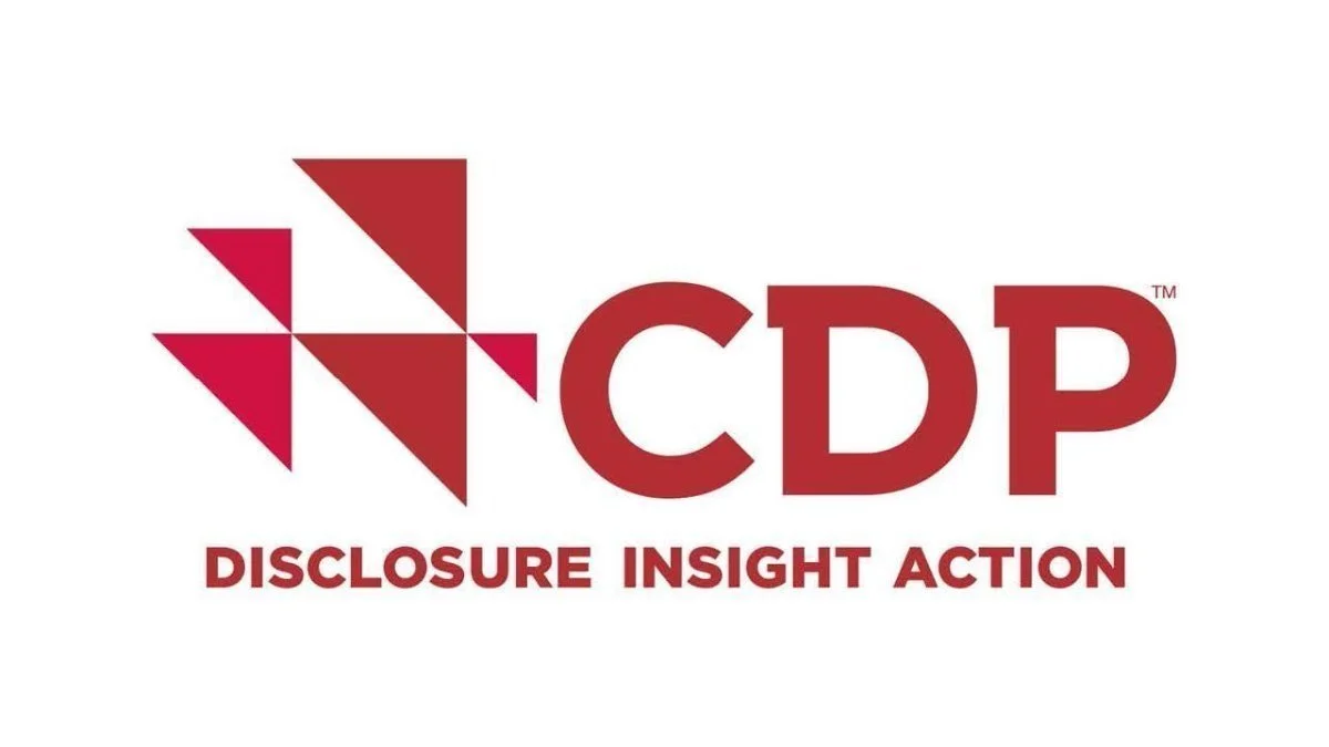 Galliford Try maintains B rating from CDP for climate action