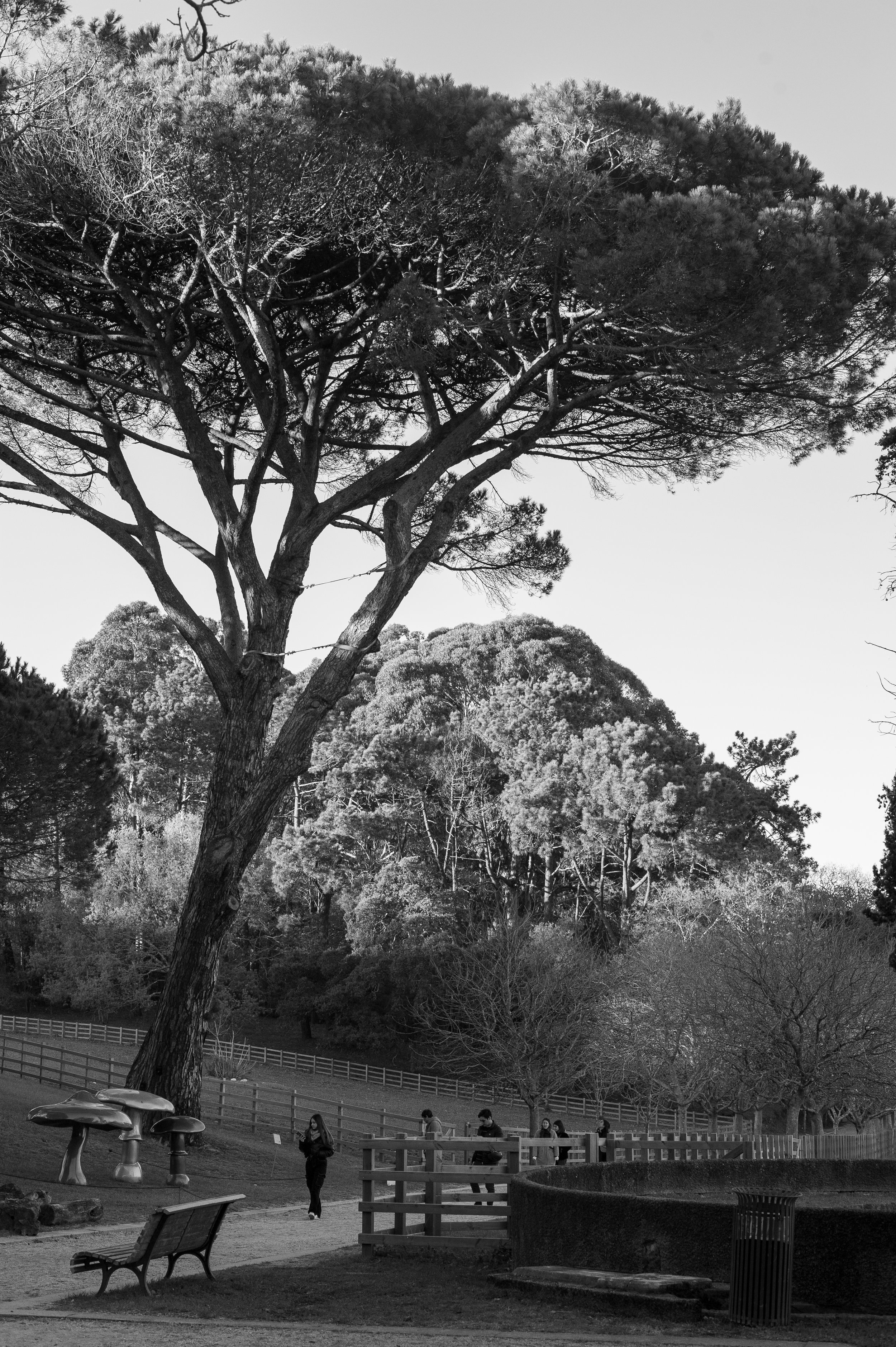 Serralves