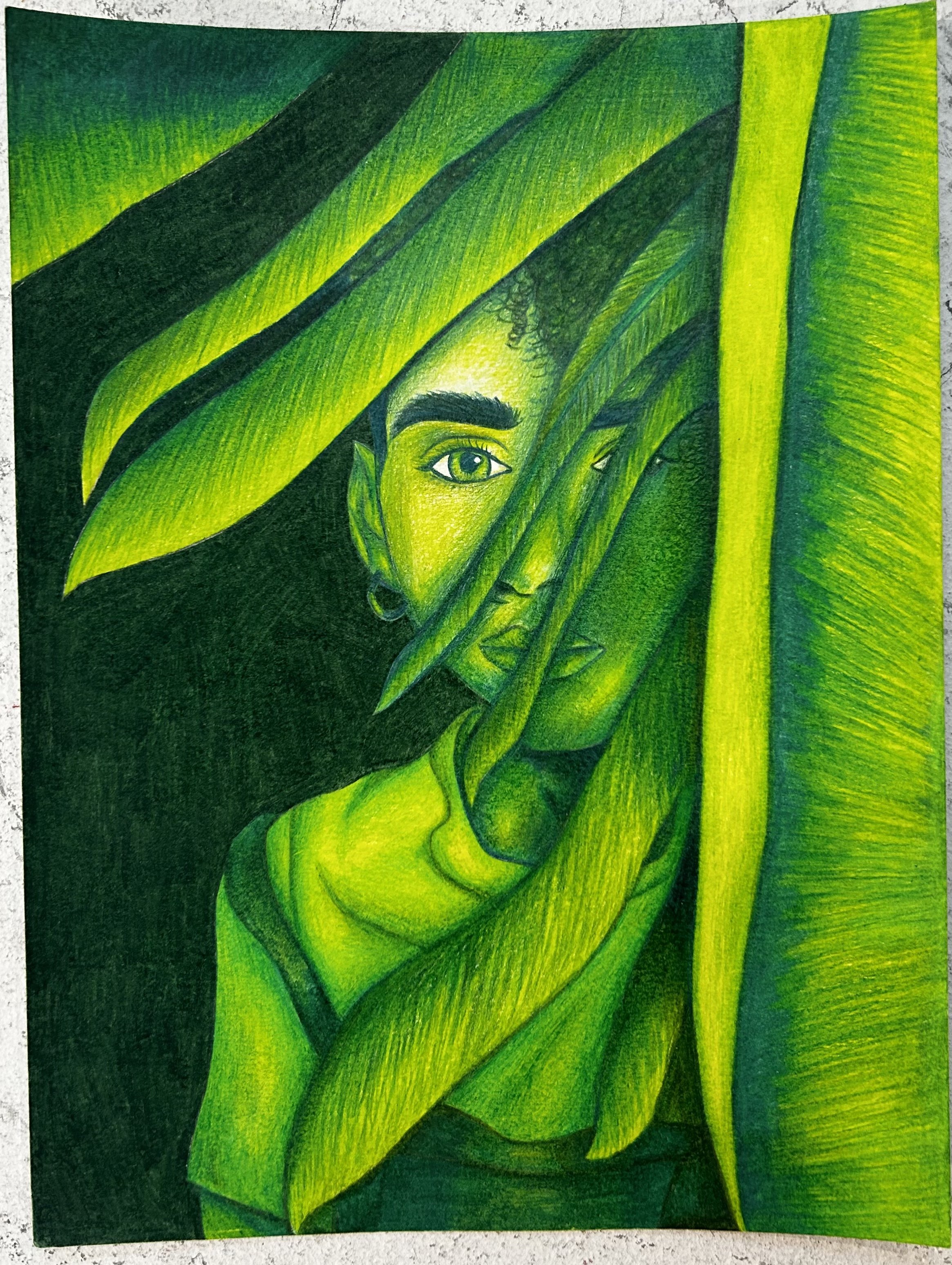 “Envy”, color pencils on paper, 8” x 11.5” , 2024.