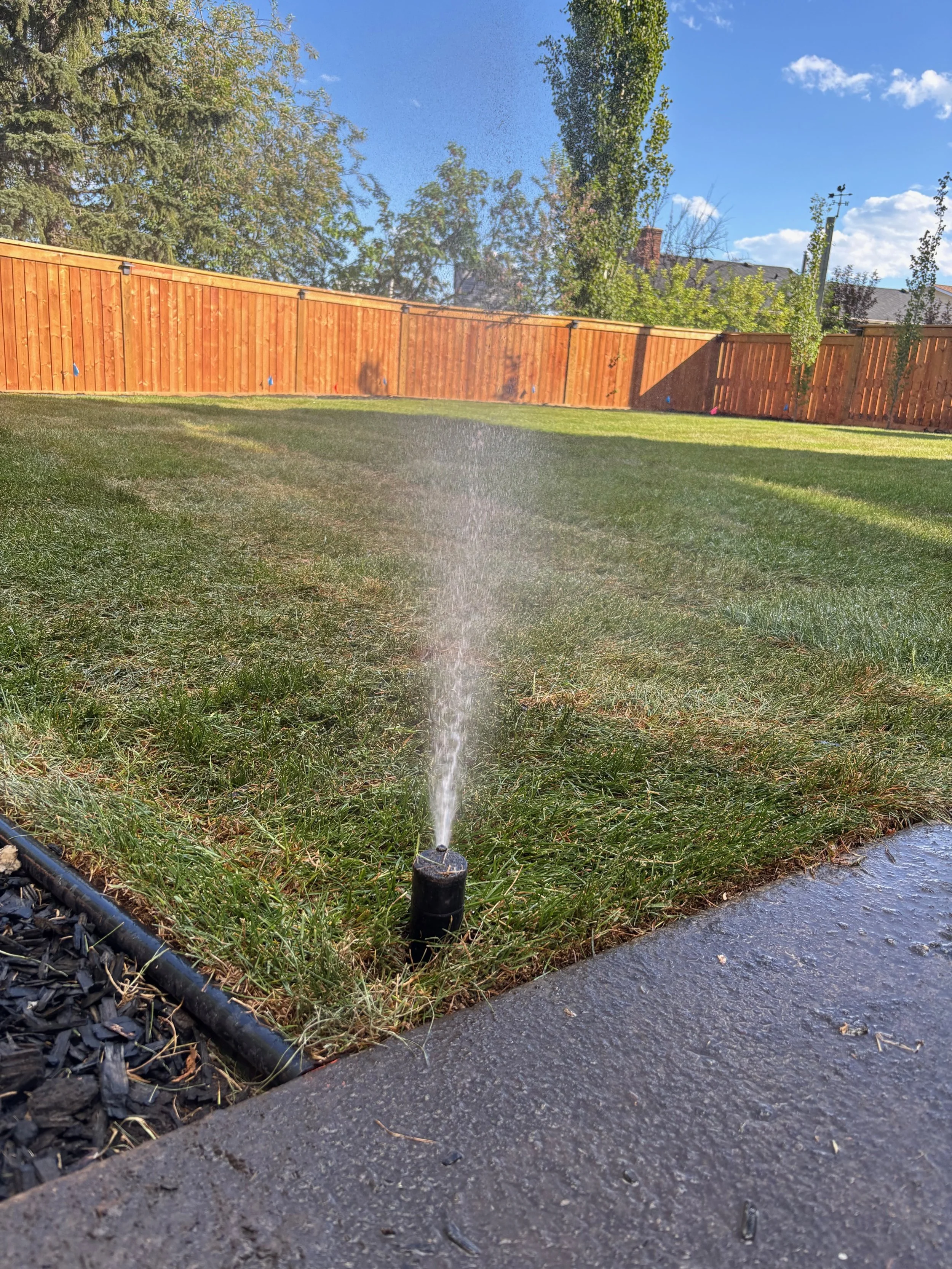 A small lawn sprinkler watering a grassy backyard, with a wooden fence, trees, and a partly cloudy blue sky in the background.