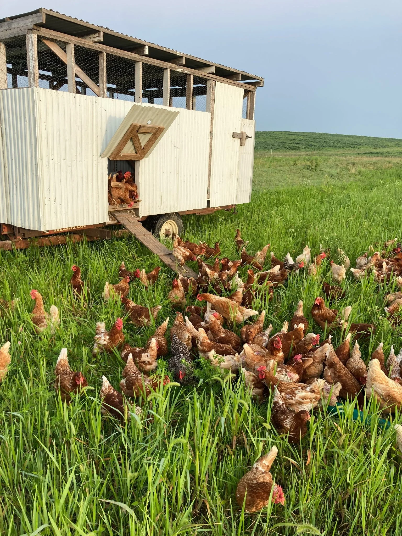 Good Things Are Worth Waiting (and Working) For