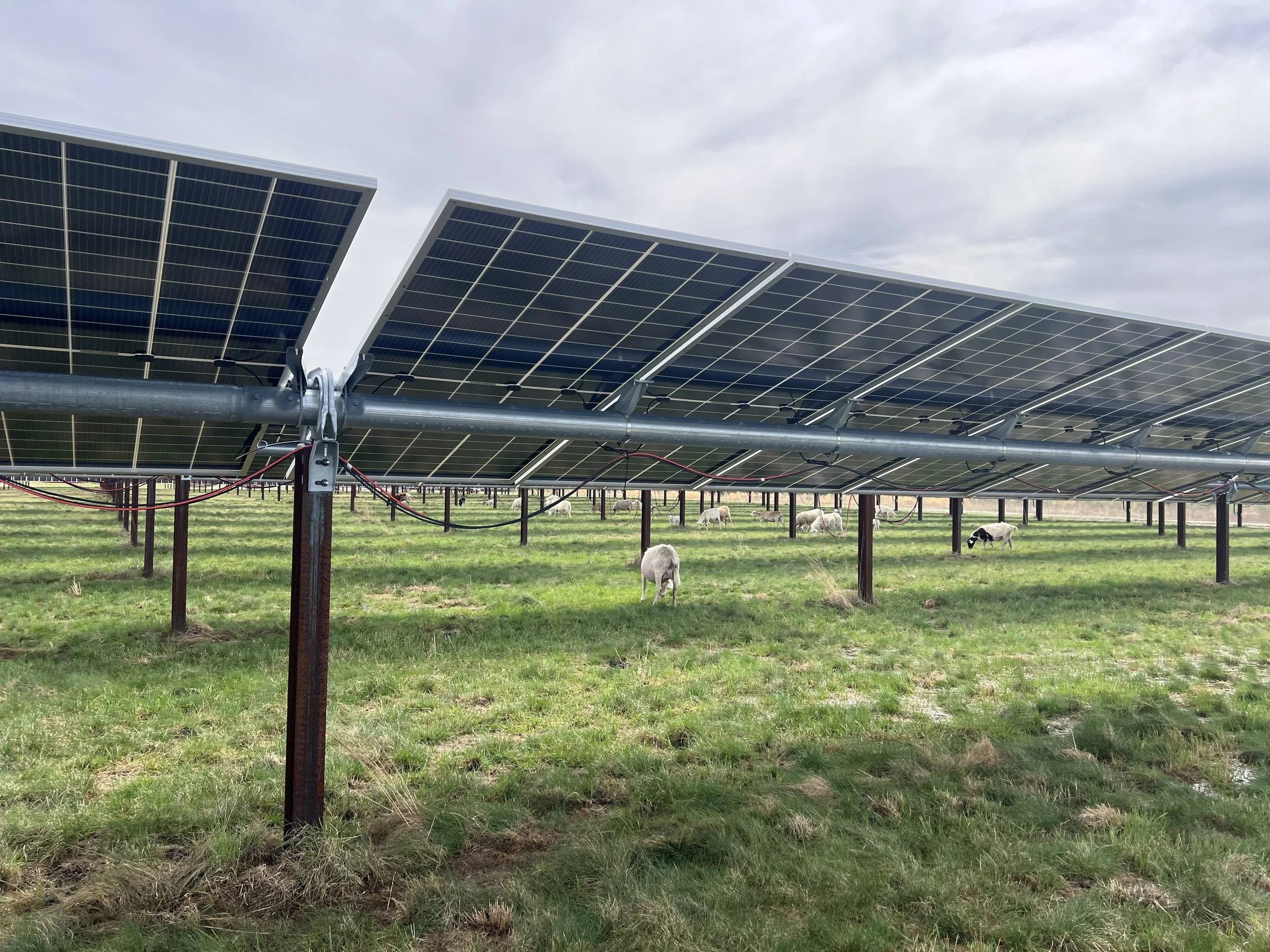 Growing Food &amp; Clean Energy Side-by-Side