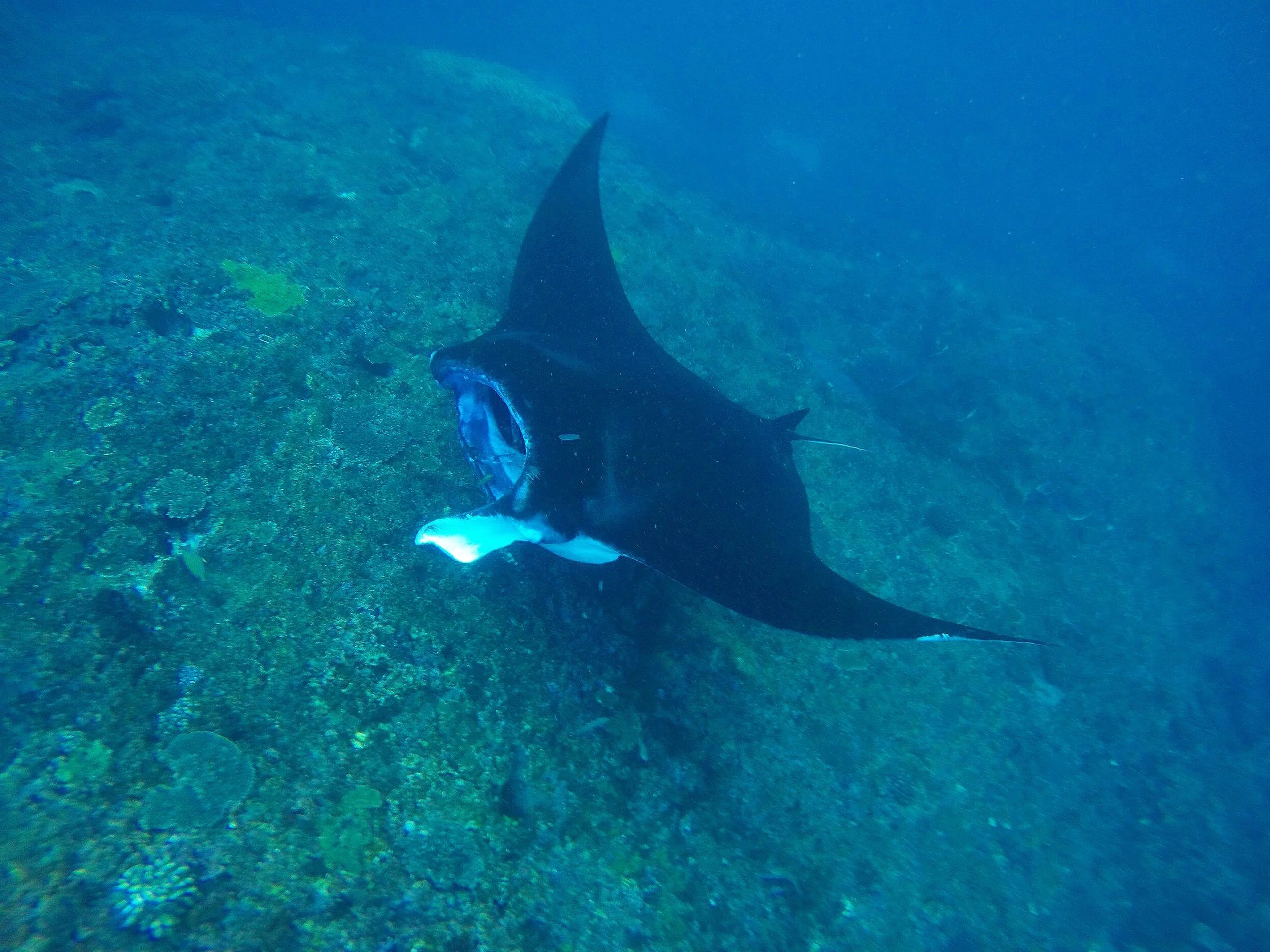 GOPR6518.jpg