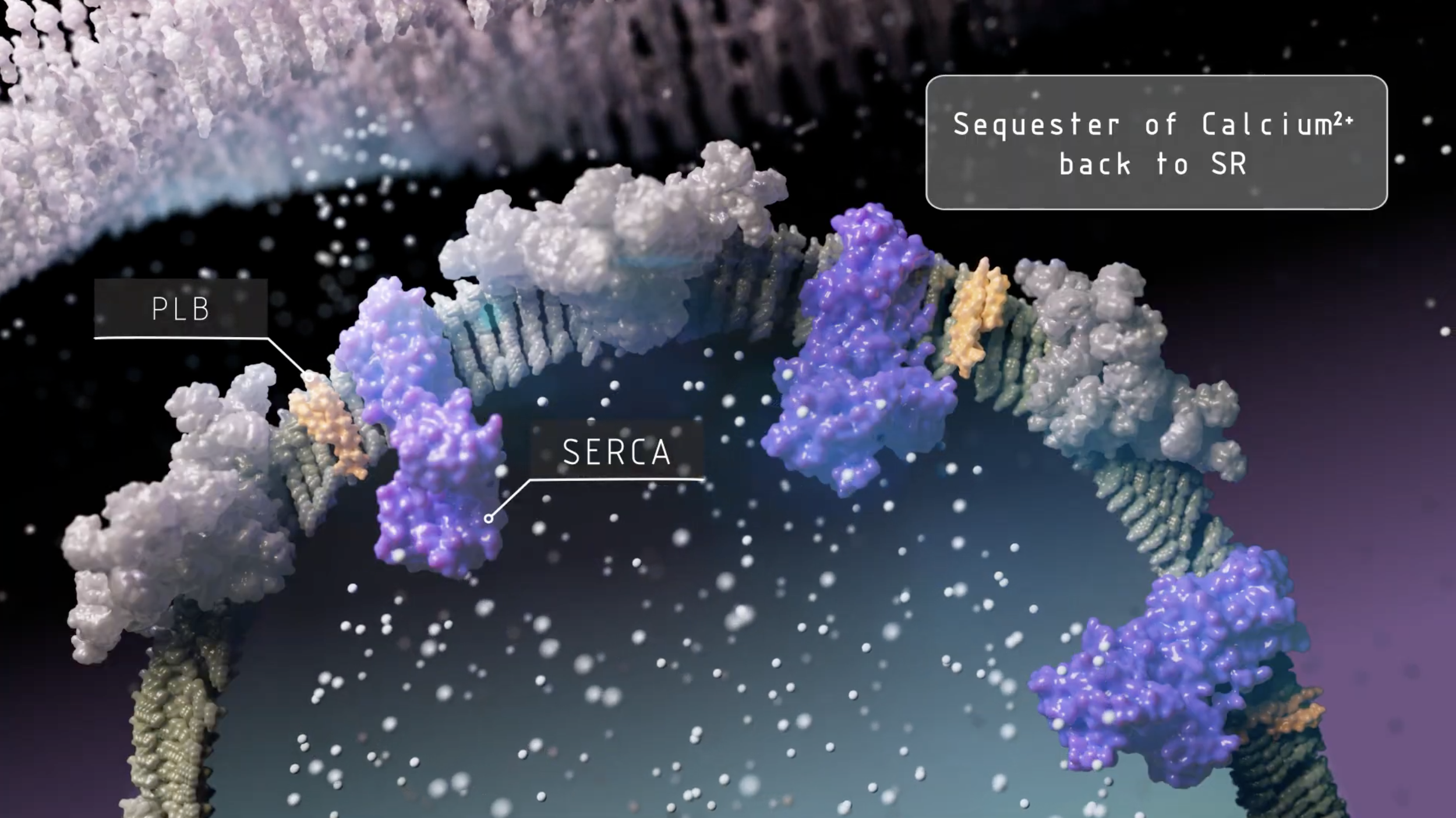 Screenshot 2025-01-31 at 6.51.50 PM.png