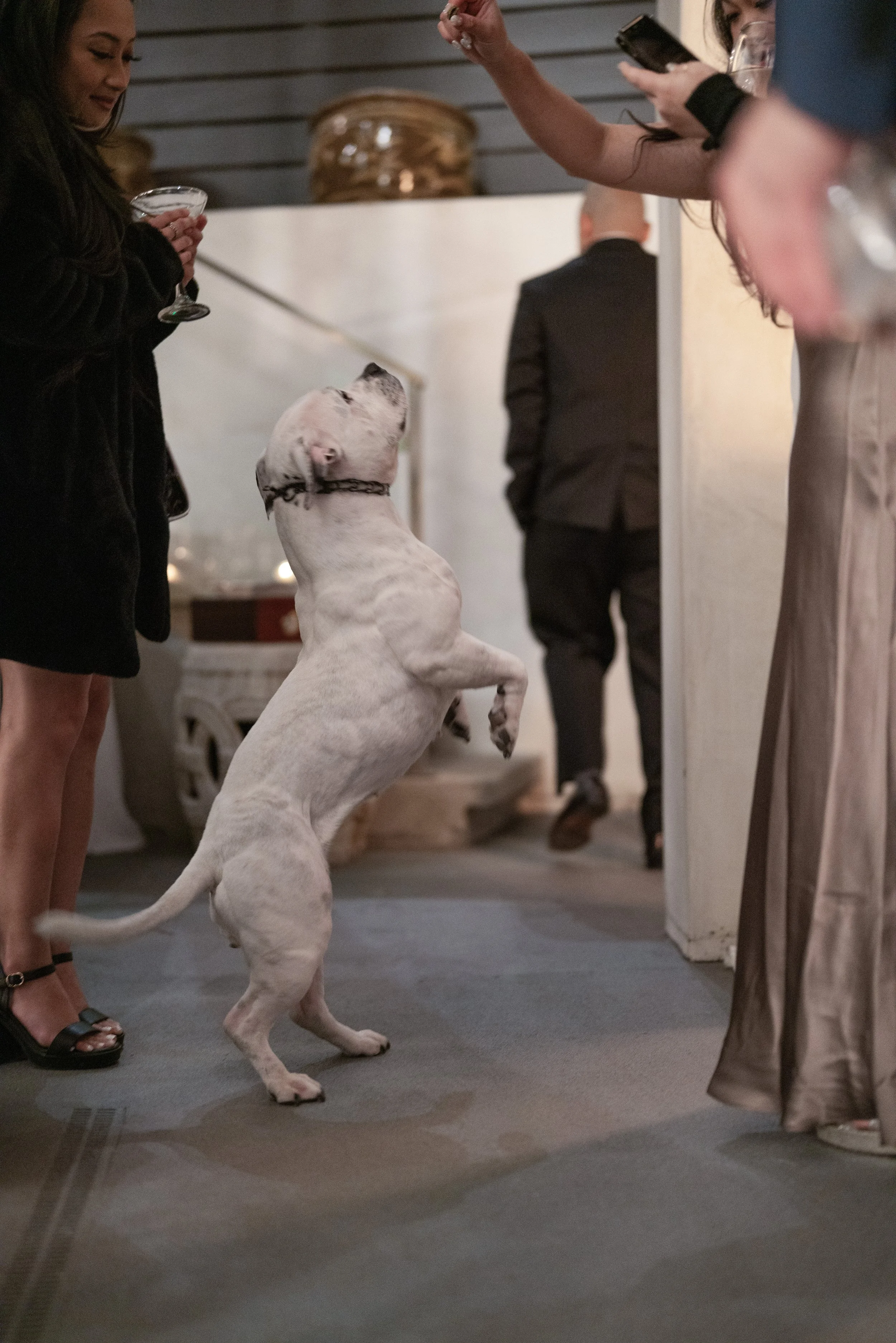 Reese and Kristine101.jpg