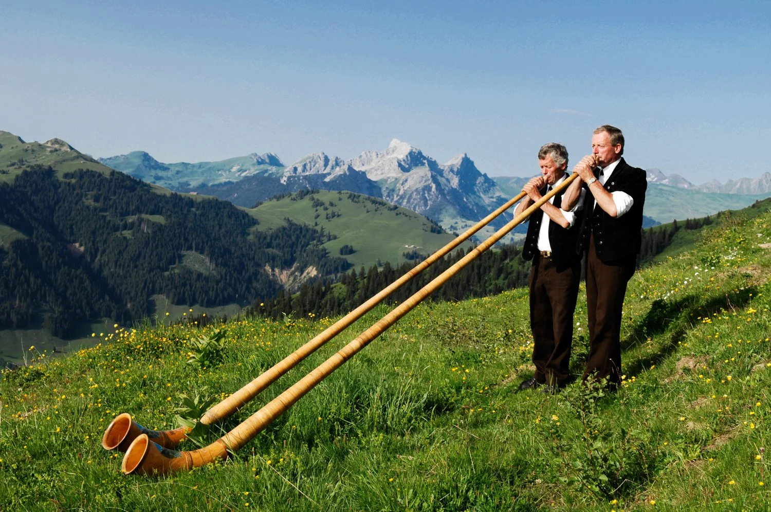 vmusik_alphorn1_169602.jpg
